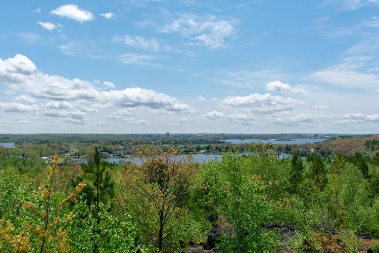 Blueberry Hill Hike