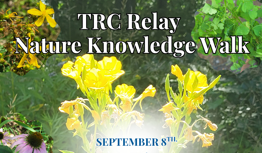 Nature Knowledge Walk with GSPS - TRC Relay