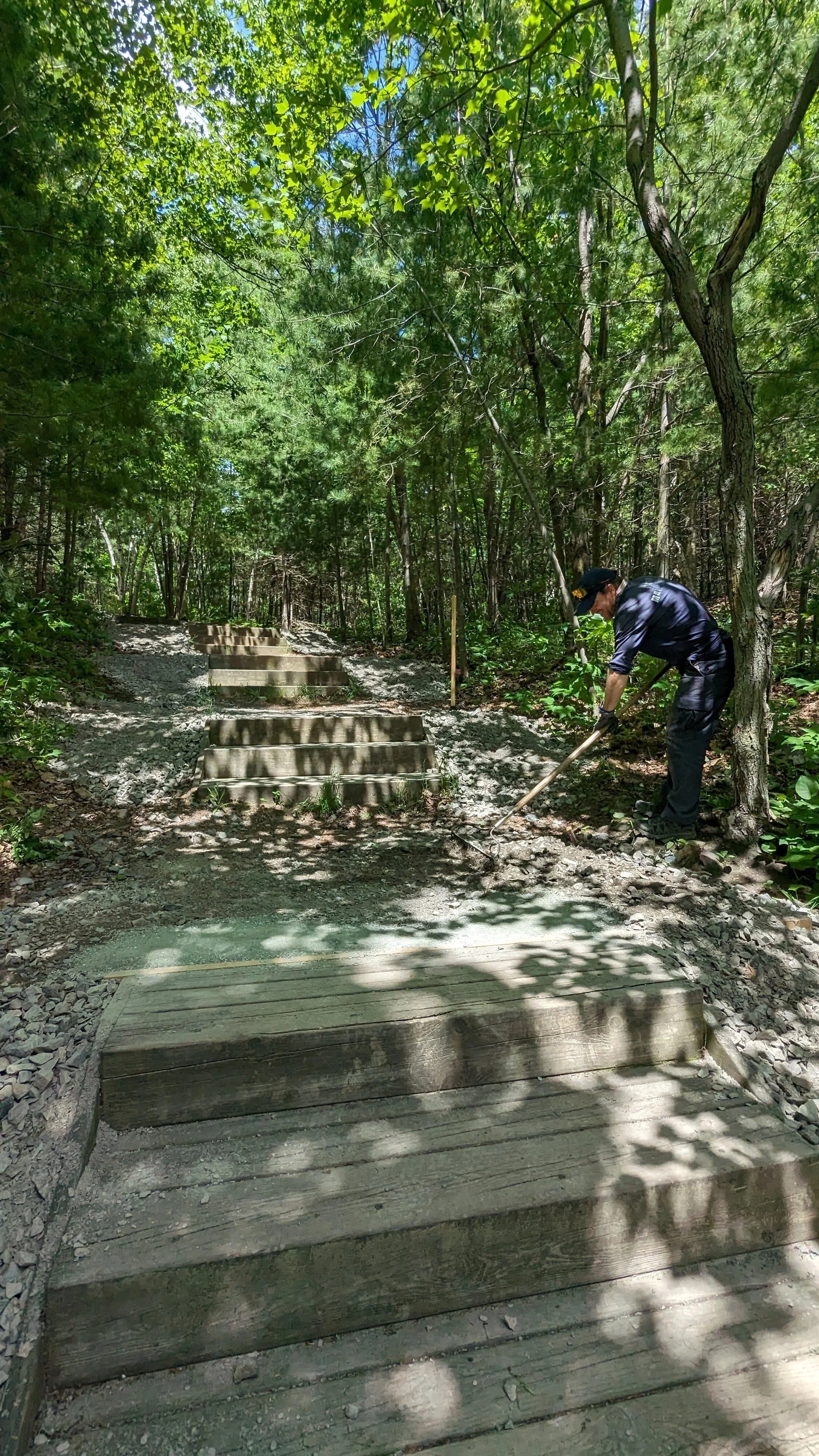 A person wearing dark clothing and a cap working on a trail, clearing debris with a rake, surrounded by trees and lush green foliage in a forest setting.