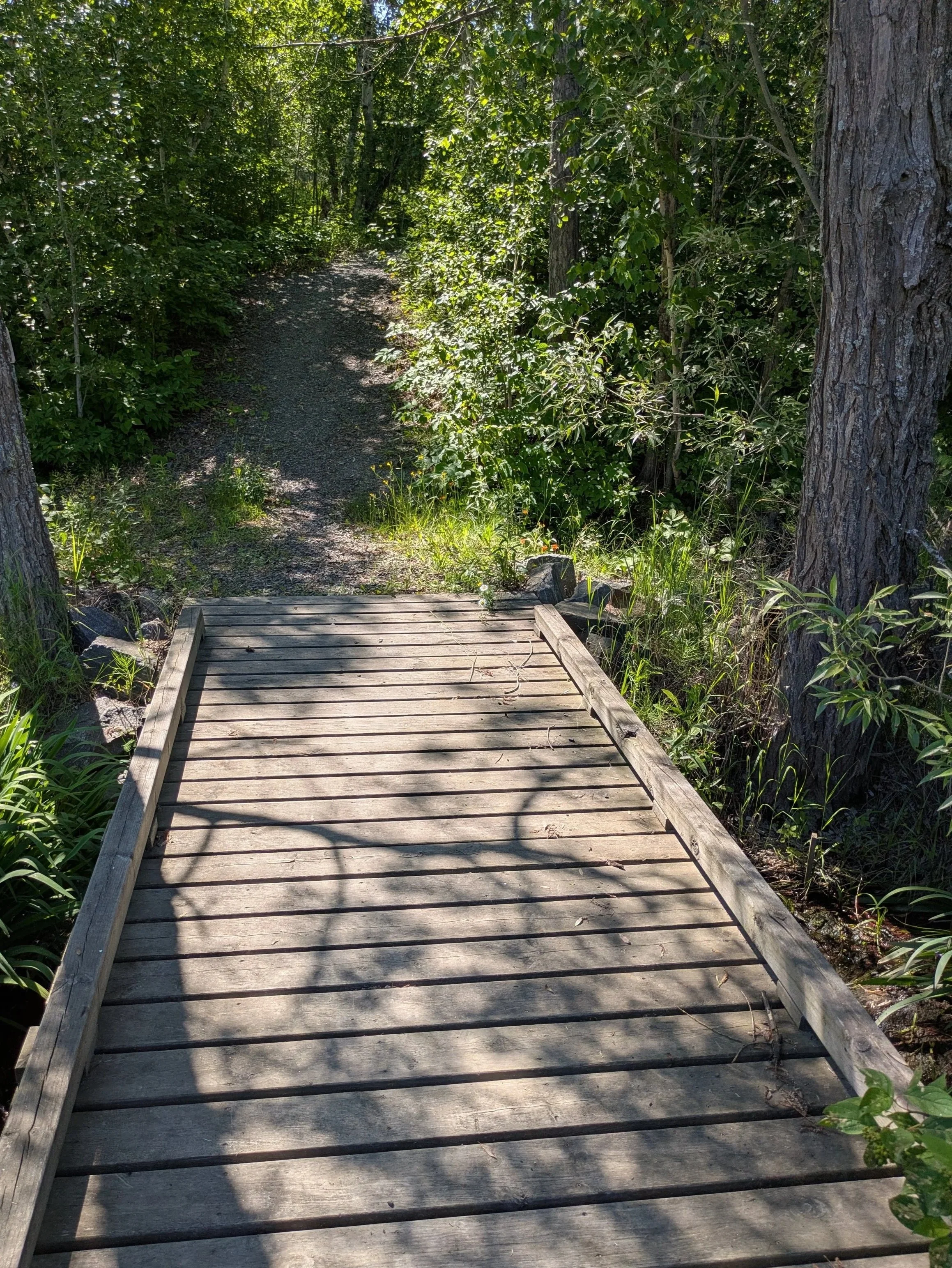 A wooden bridge over a small stream leads into a wooded trail with green trees and bushes, sunlight casting shadows on the bridge.
