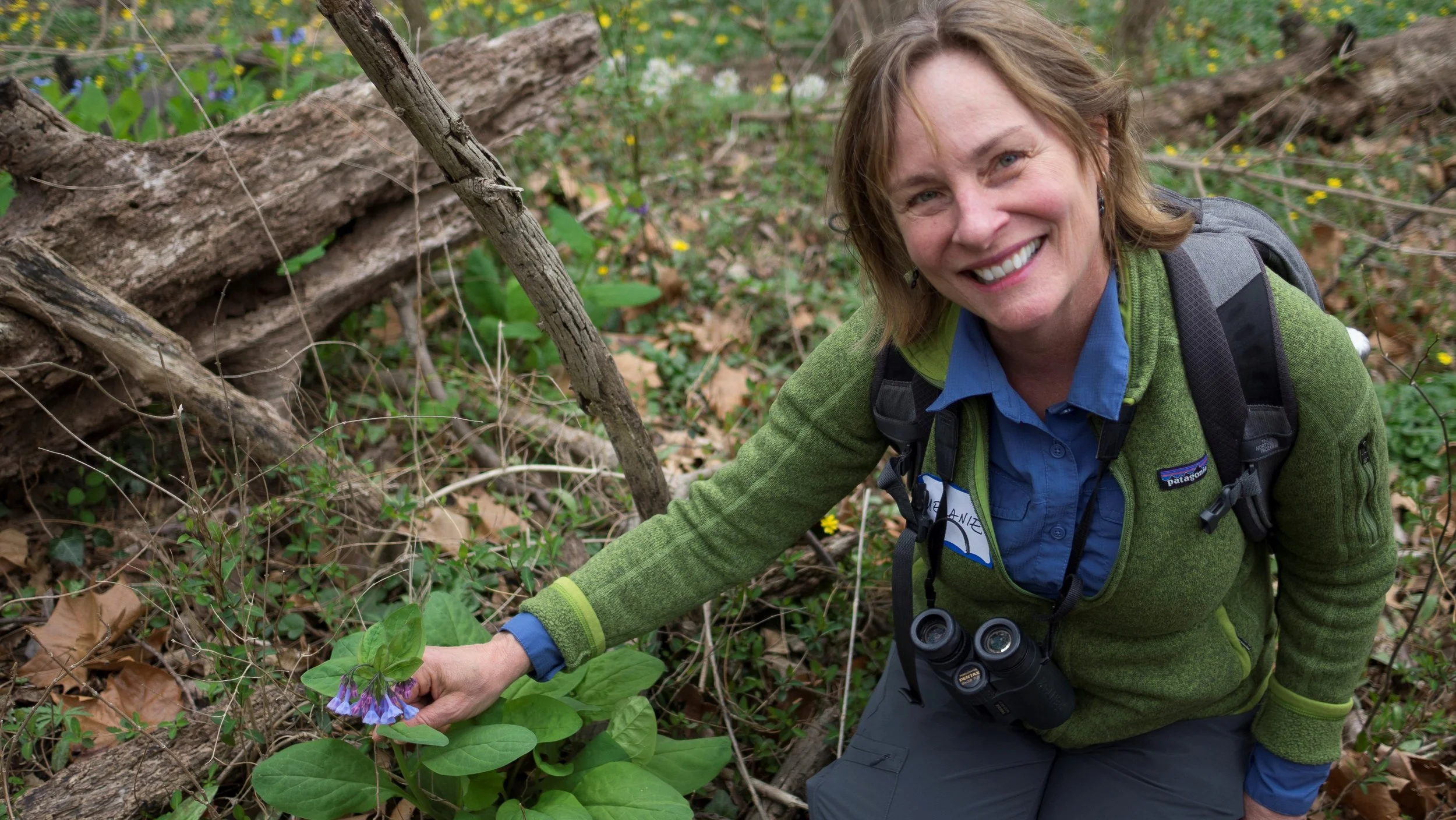 Living Landscapes: Forest Bathing Walk