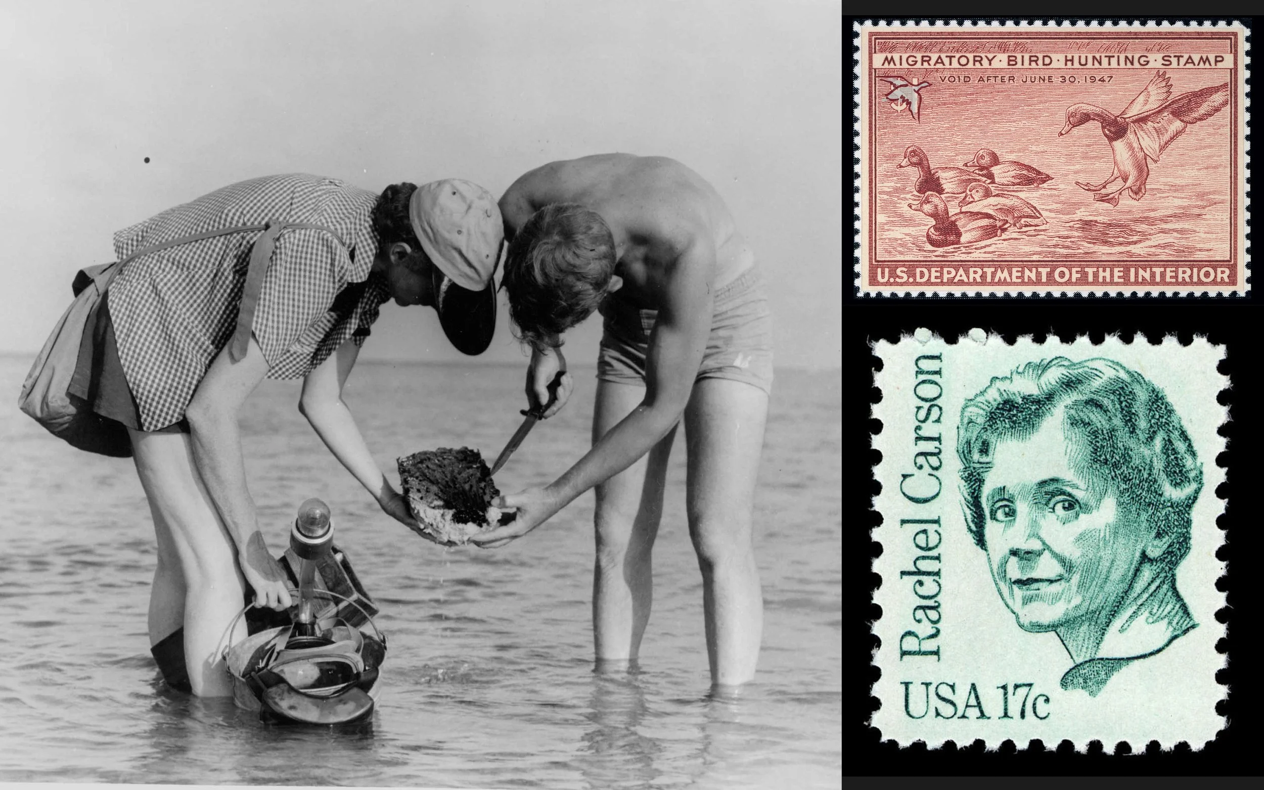 Stories of the Land: Unlikely Conservation Partners