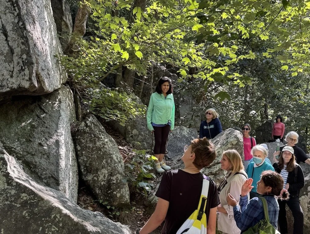 Living Landscapes: Summer Sunday Hike