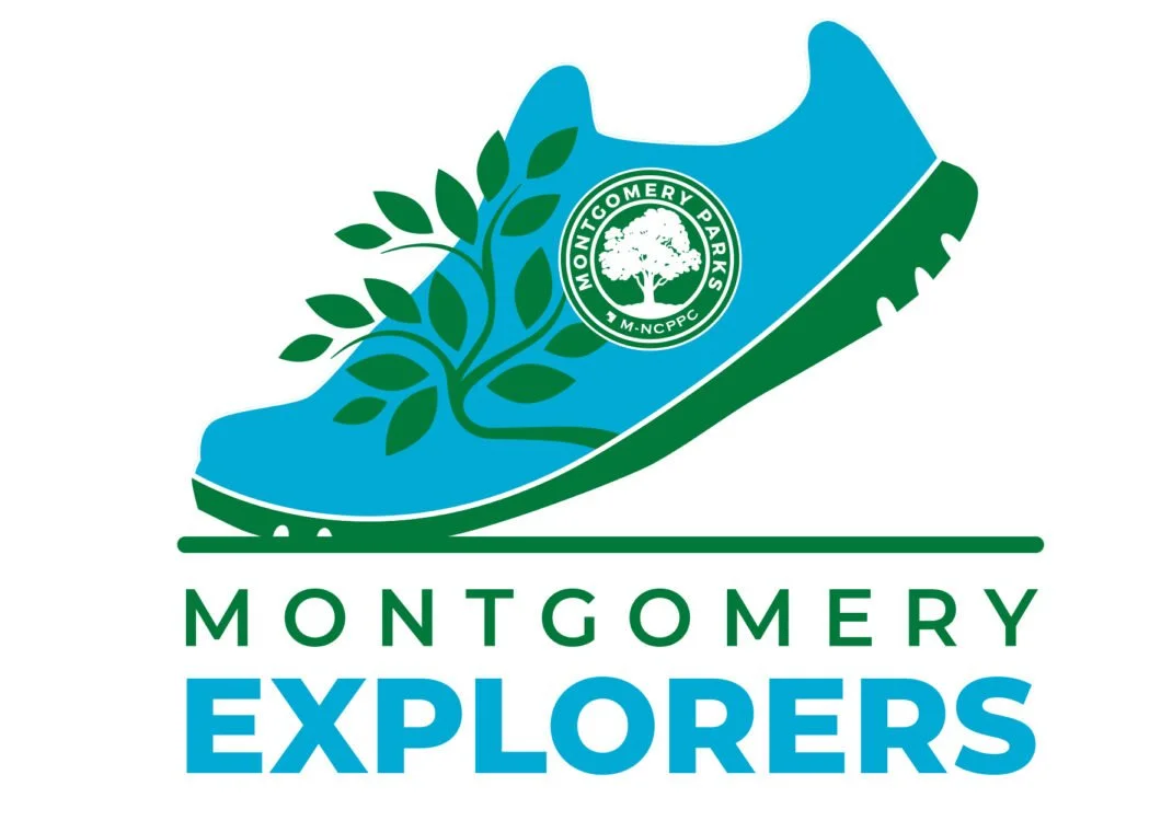 Montgomery Explorers at Springsong