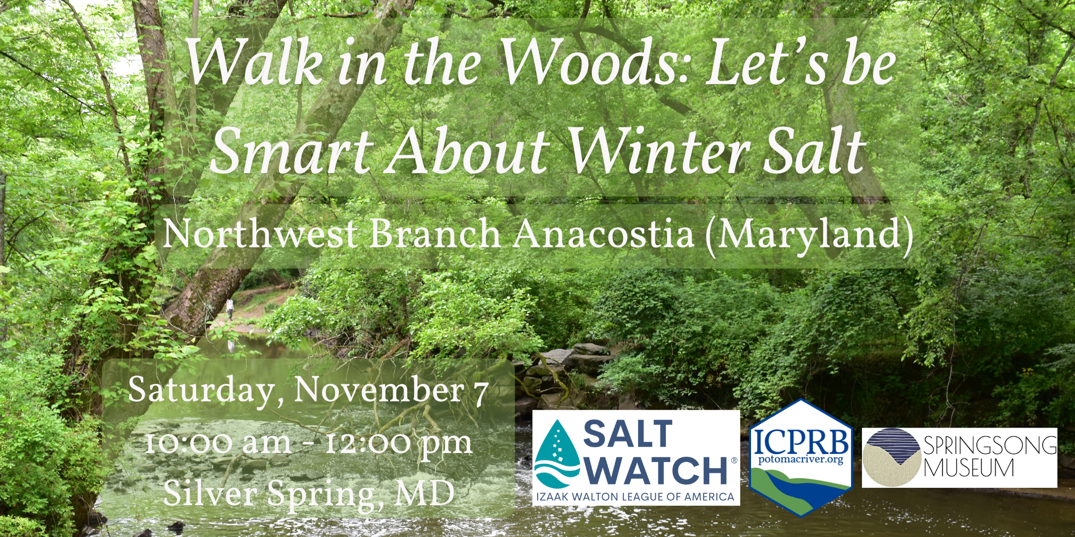 Walk in the Woods: Let's be Smart About Winter Salt