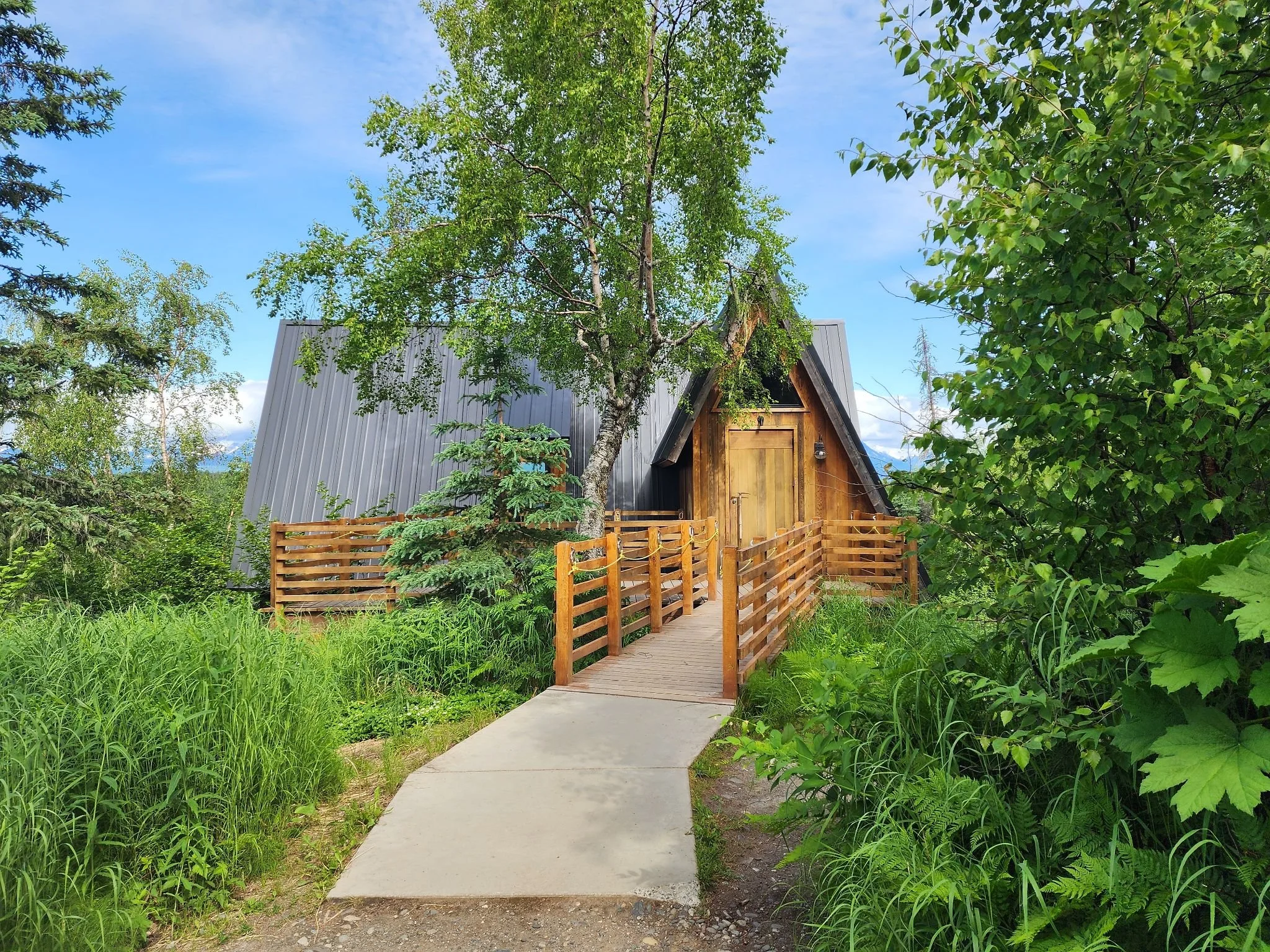 tours and escorted tours , picture of lookout at Princess Wilderness Lodge in Alaska