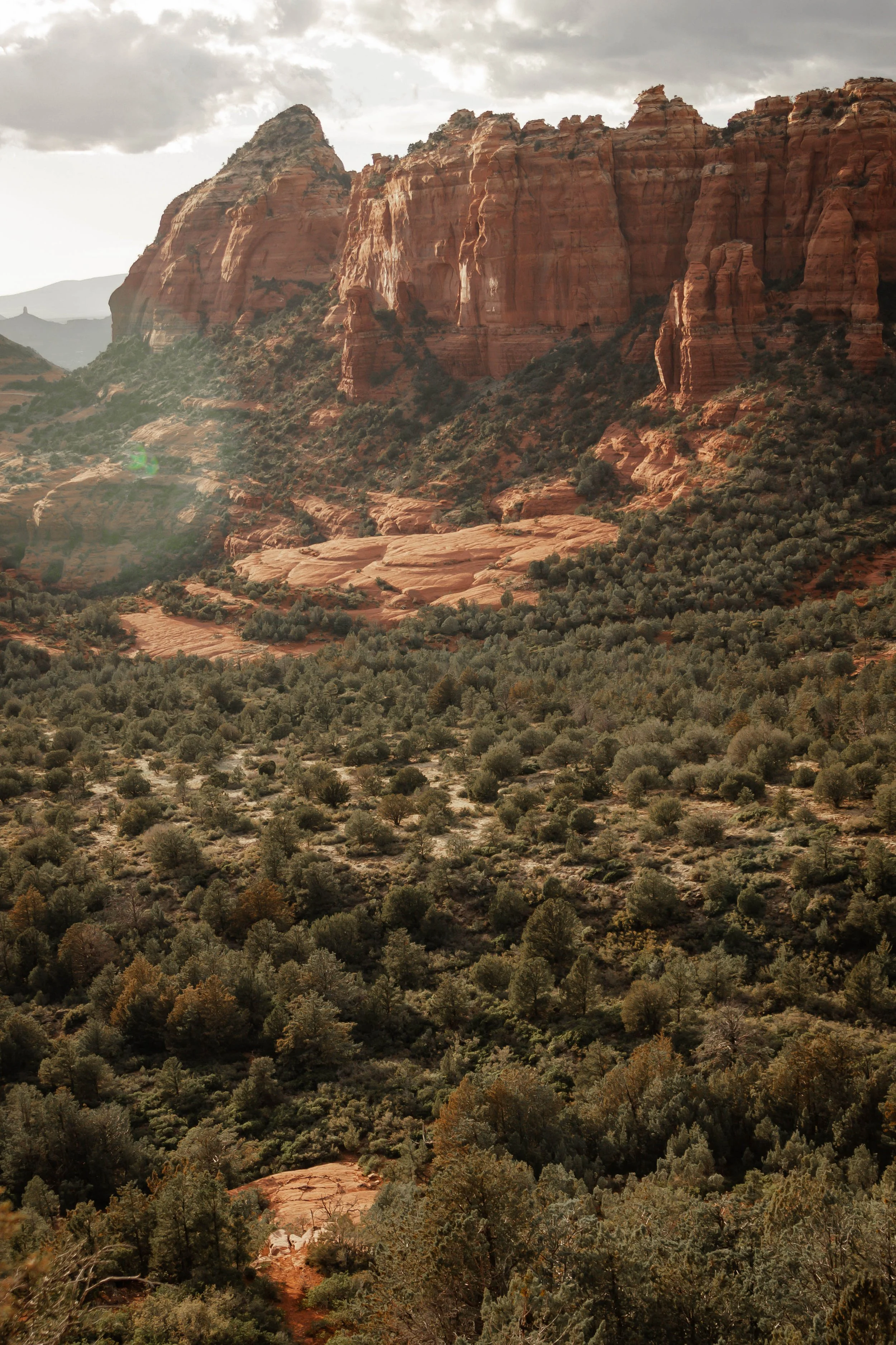 Scenic view of red rock formations and desert vegetation in a canyon, under a cloudy sky.