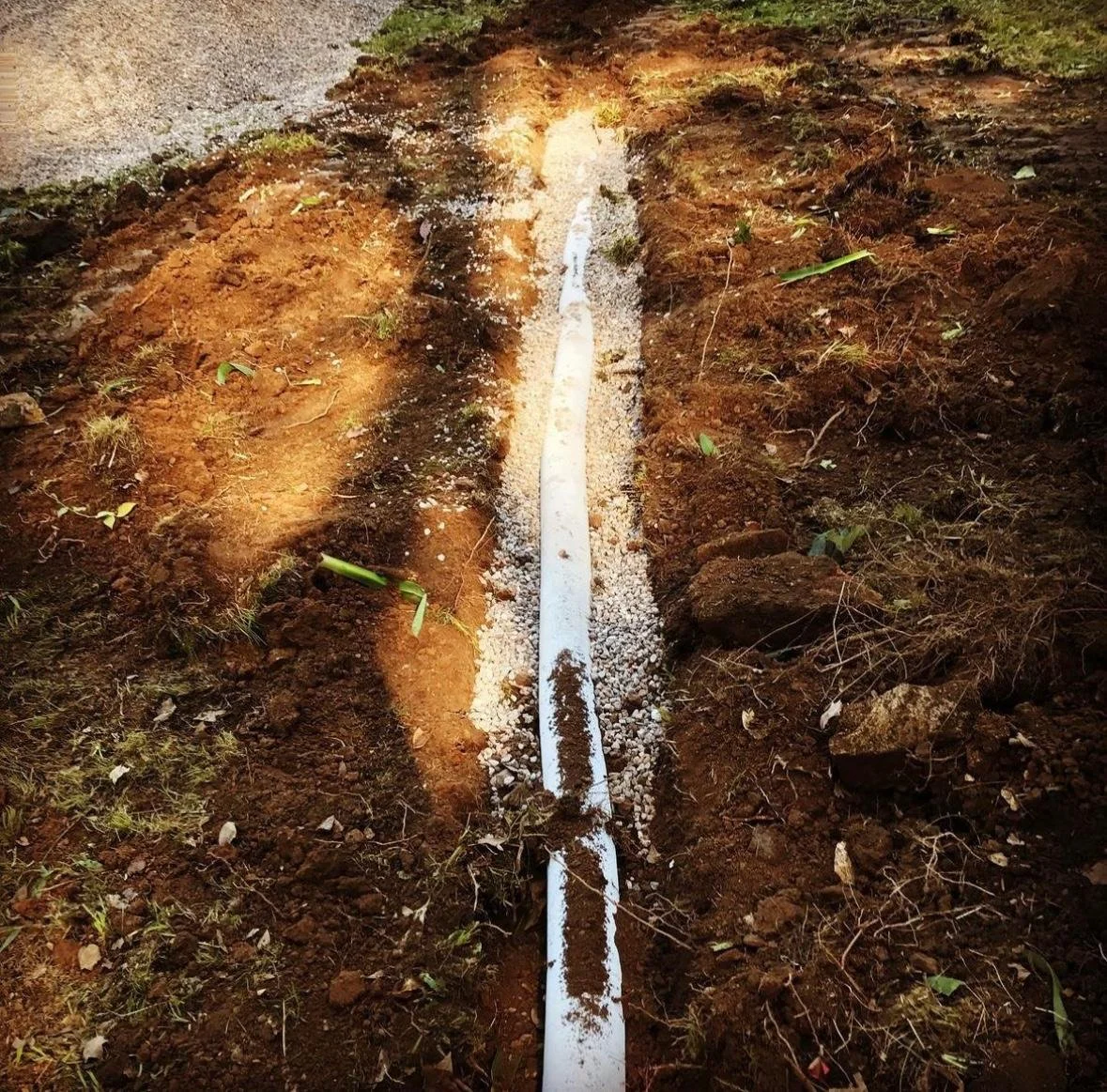 WhatsApp Image 2024-04-26 at 12.36.36_f9bdb952.jpg