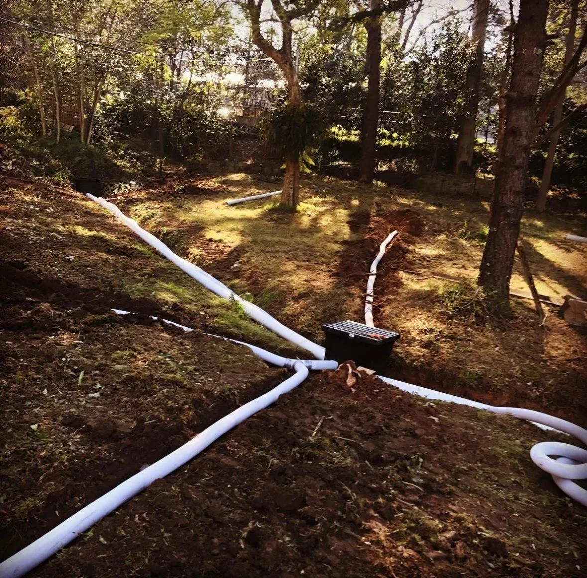 WhatsApp Image 2024-04-26 at 12.36.36_284ef863.jpg