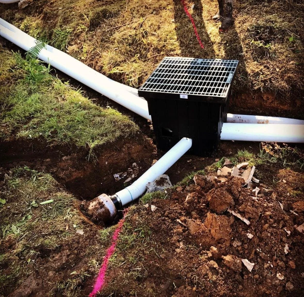 WhatsApp Image 2024-04-26 at 12.36.36_0e96dd74.jpg