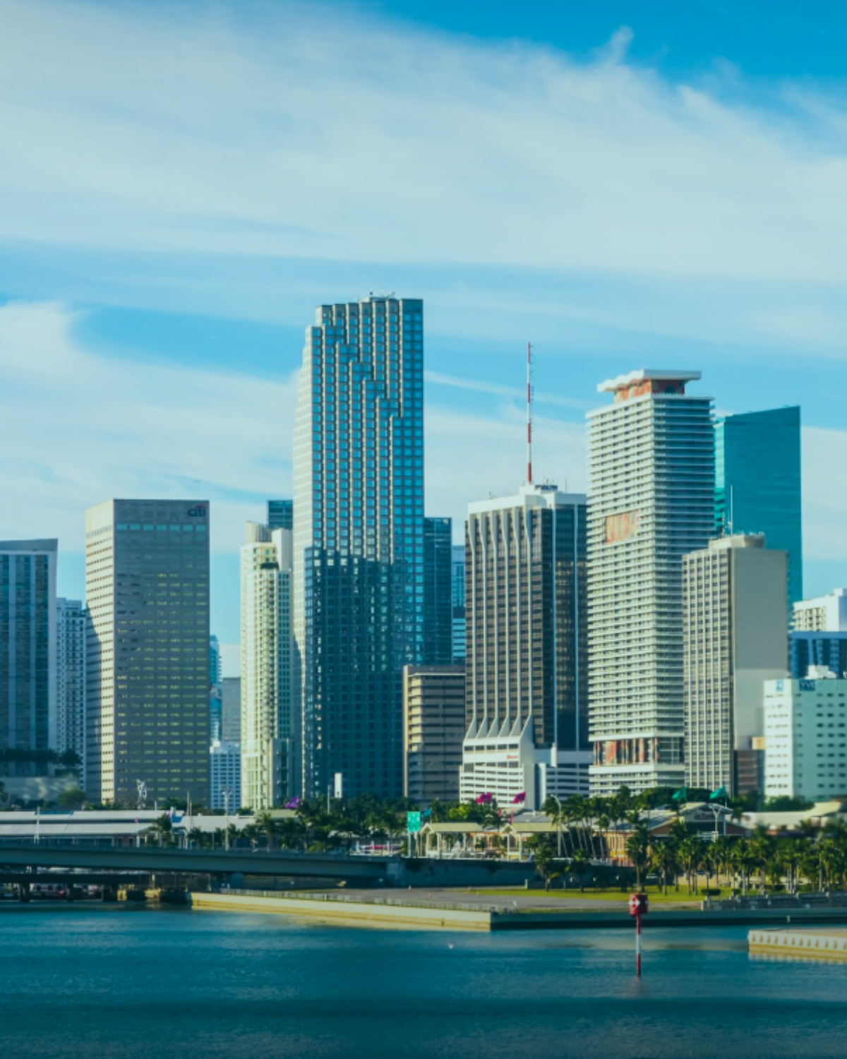 Florida Momentum: Where Capital Flows, Companies Scale, and Talent Moves.