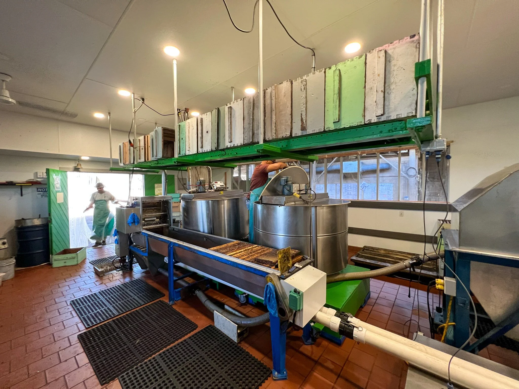 🍯 honey-harvest in the honey-house
D: honigernte im &quot;honighaus&quot;

#honey #hawaii #beekeepinghawaii #miniplus #doubleup #honigernte #honeyharvest #beecompany #beekeeping #imkern #grossimkerei #beefarm