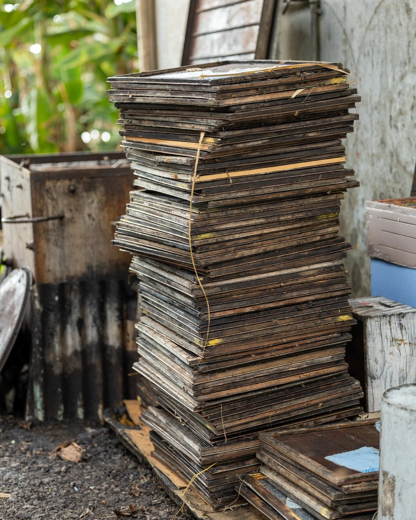 Just some of the queen-excluders 😅

d: nur ein paar k&ouml;niginnen-absperrgitter 😅

#bee #beekeeping #queenproduction #hawaiibee #hawaiibeekeeping #k&ouml;niginnenzucht #k&ouml;niginnenproduktion #imker #imkerei #bienen #miniplus #begattungsv&ouml