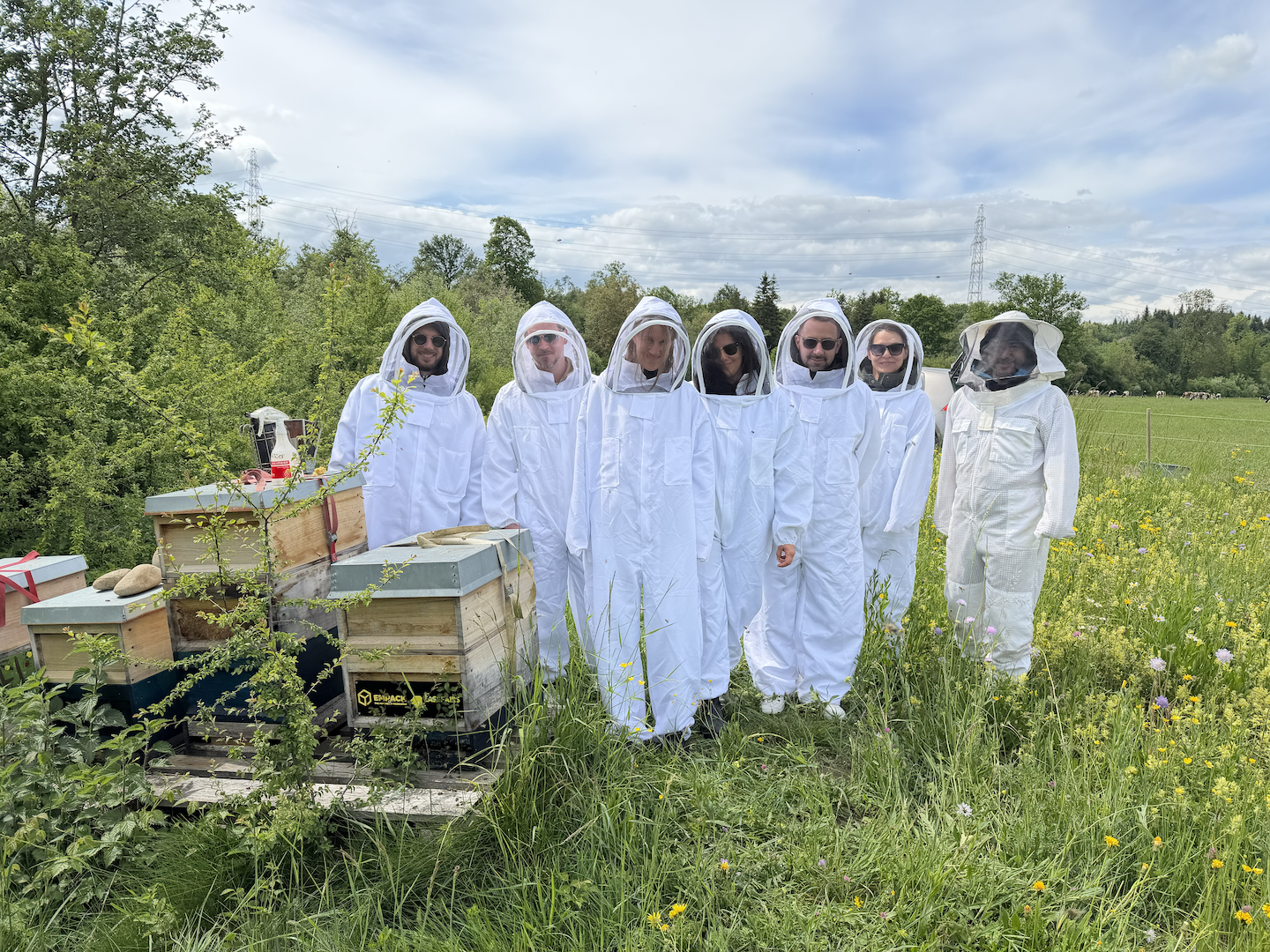 Firmenausflug zu den Bienen: Erleben Sie echte Team-Arbeit im Bienenstock