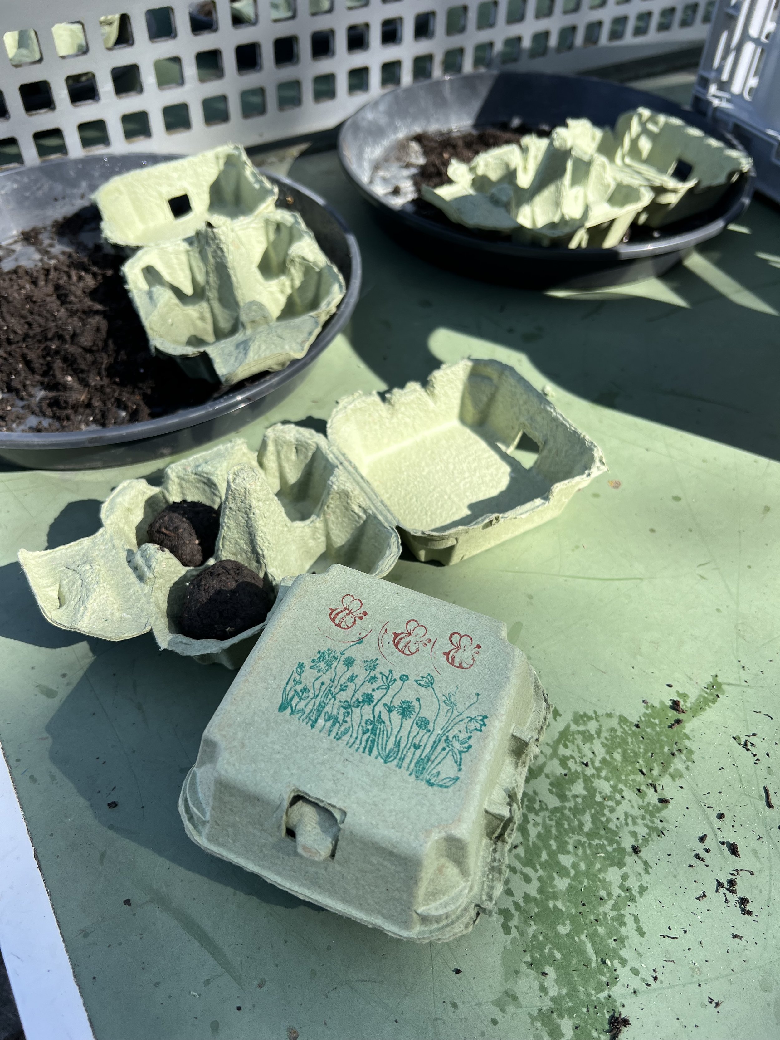 Als Ergänzung zum Bienenbesuch werden Blumen-Samen-Kugeln hergestellt. Diese können anschliessend im Garten ausgesät werden.
