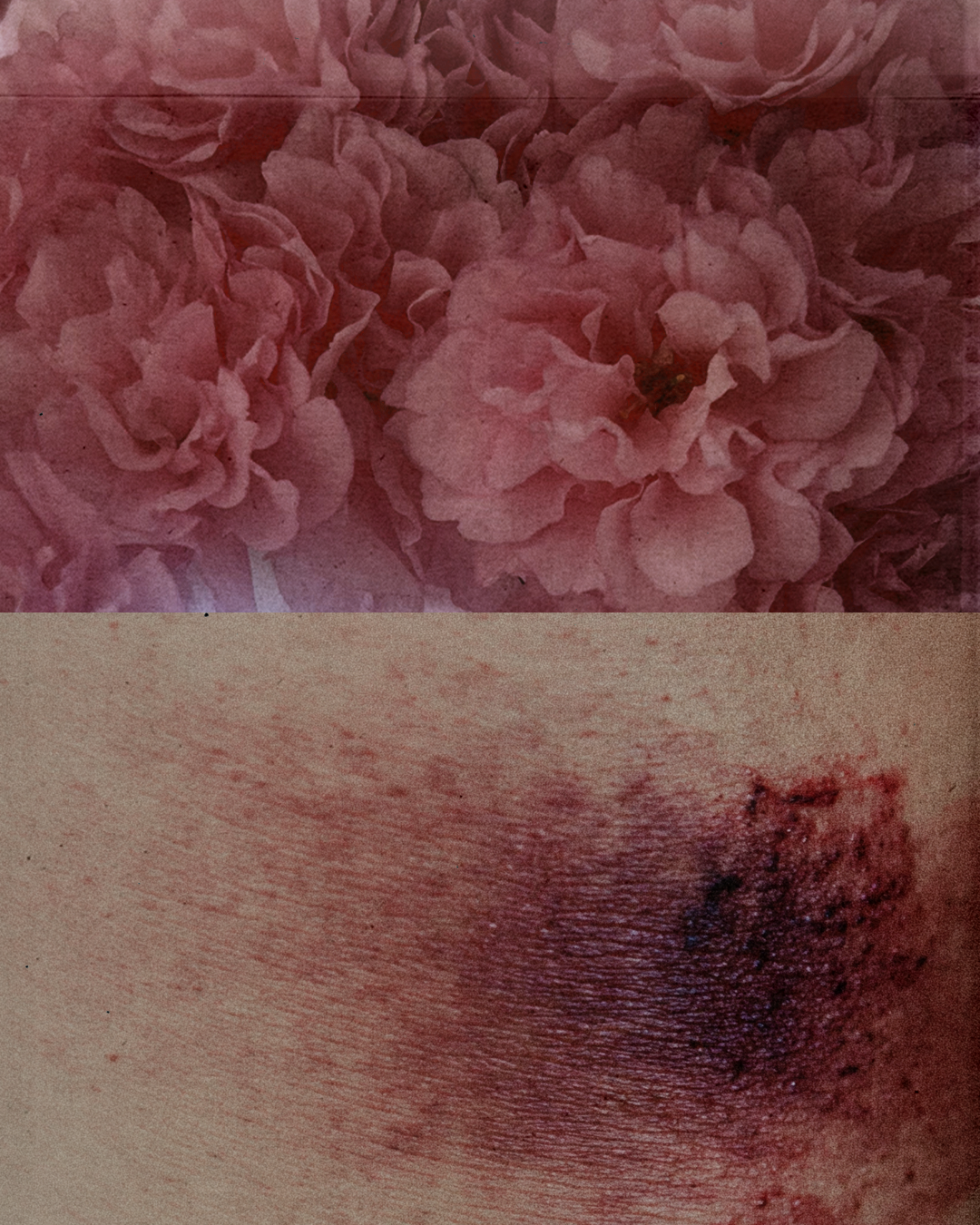 flower!%22'.png