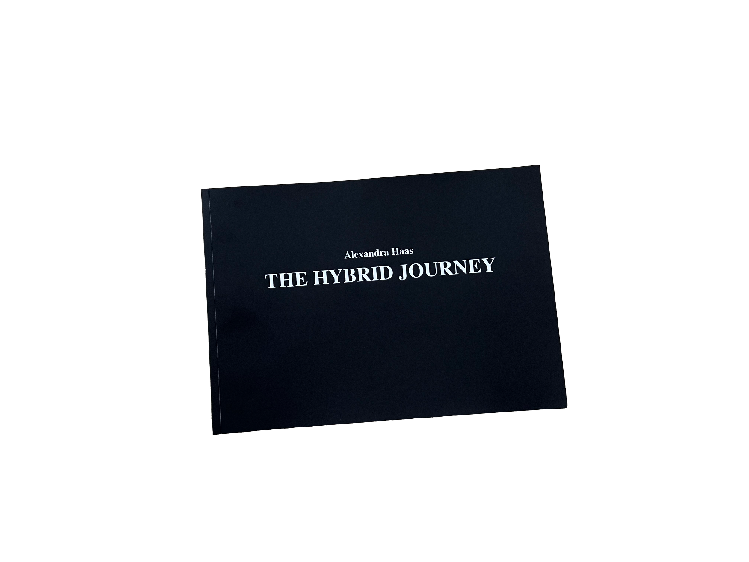 Publikation- The Hybrid Journey (2024/25)