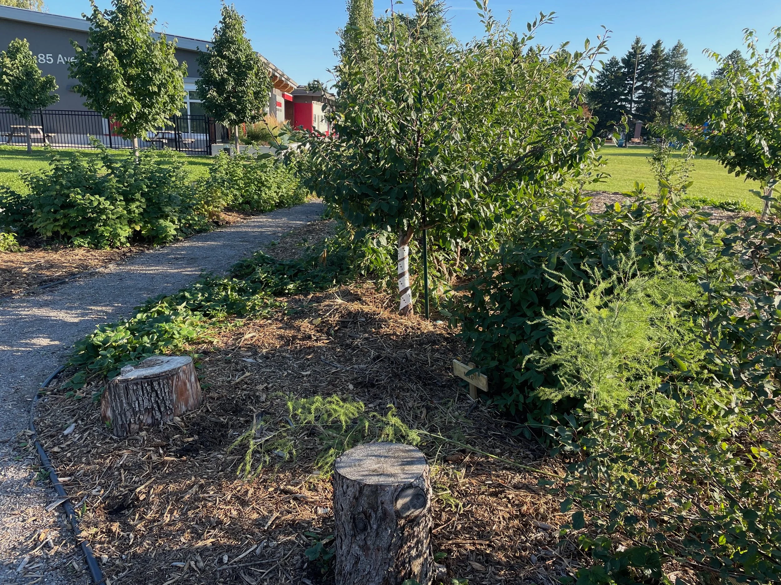 Monday Nights in the Food Forest