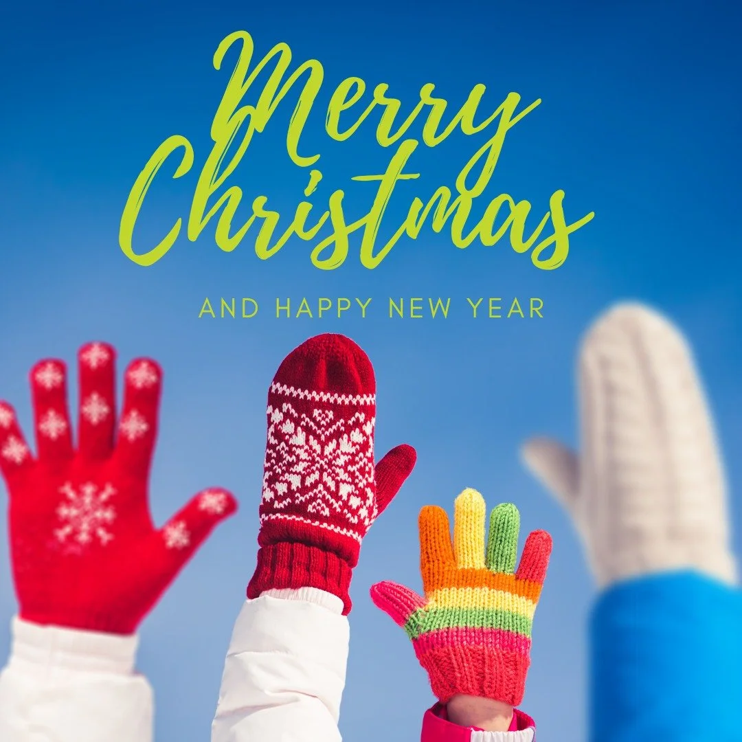 Merry Christmas and Happy New Year from our families to yours!