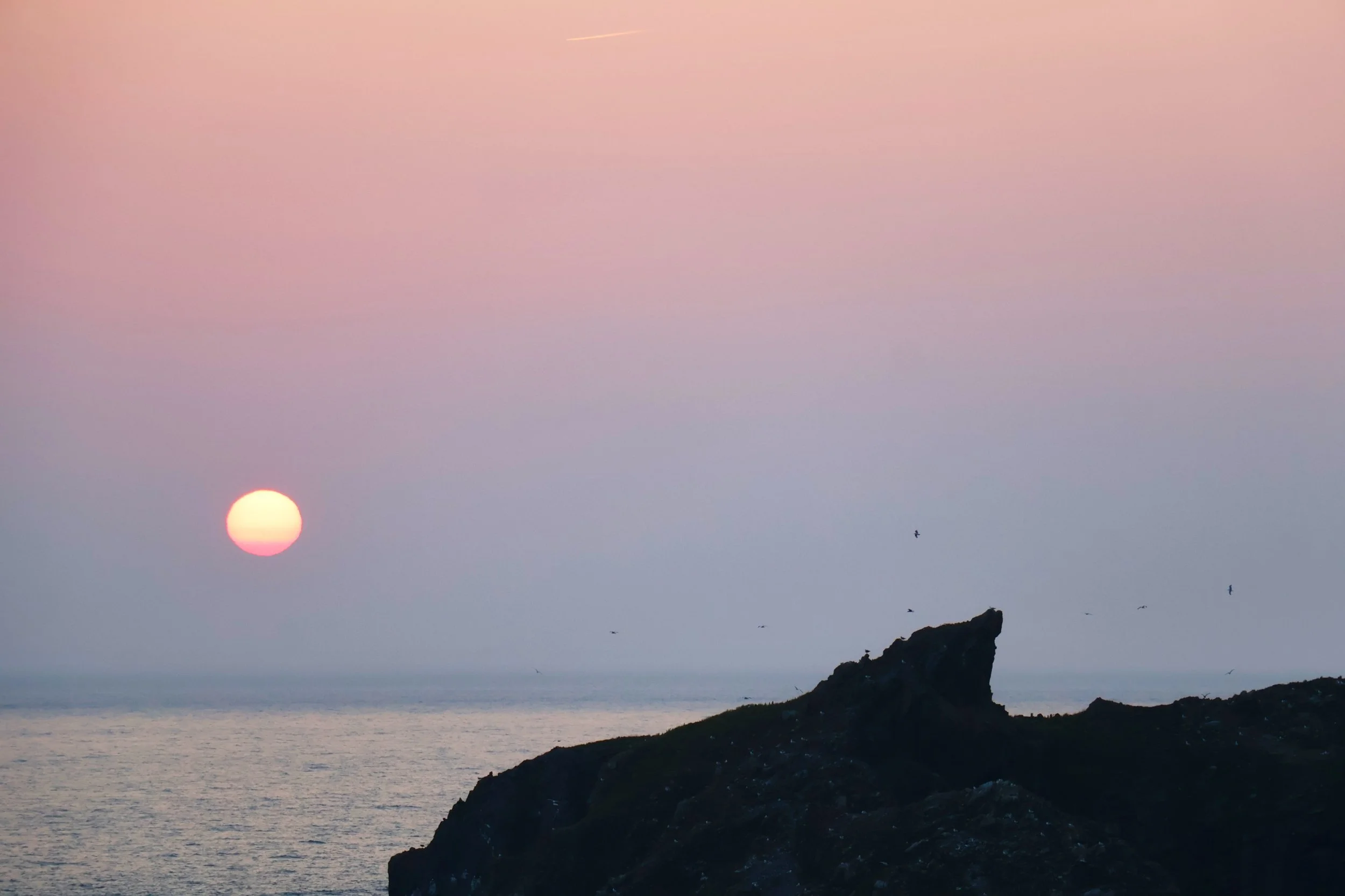 Ruiz B ICE 07 02.jpg