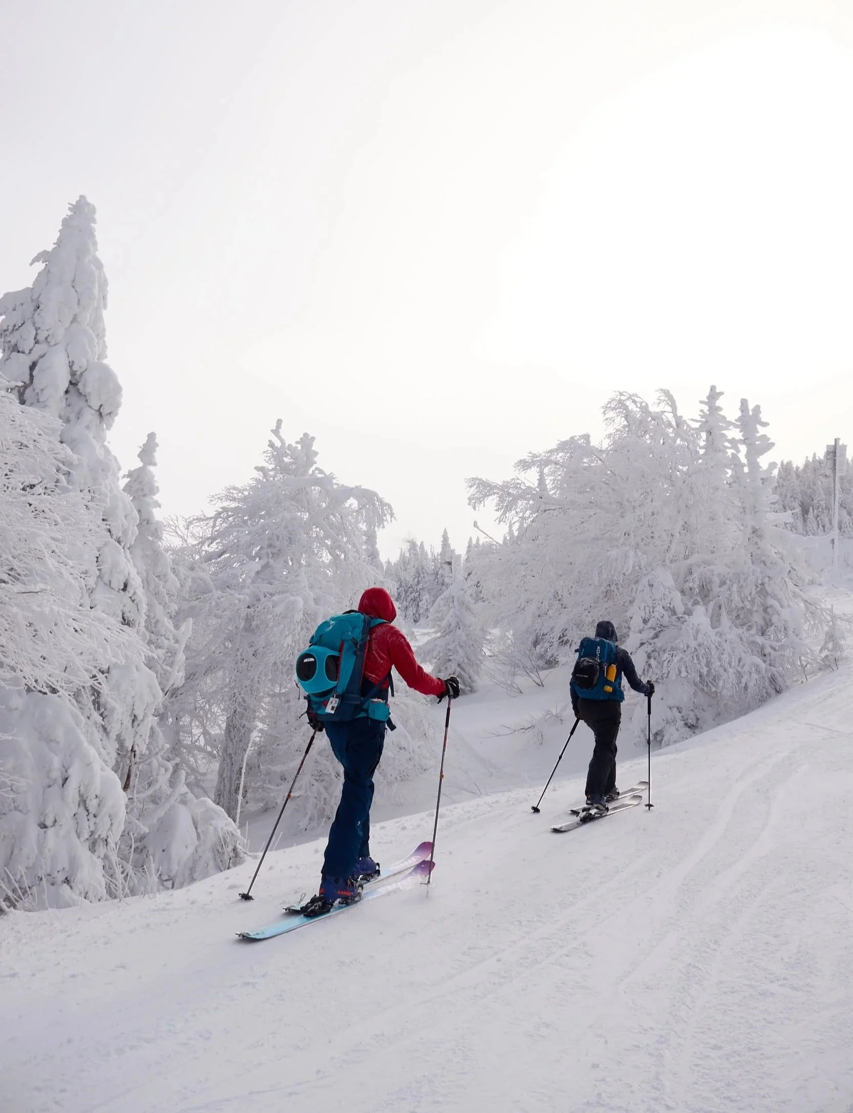 web resolution 4.jpg