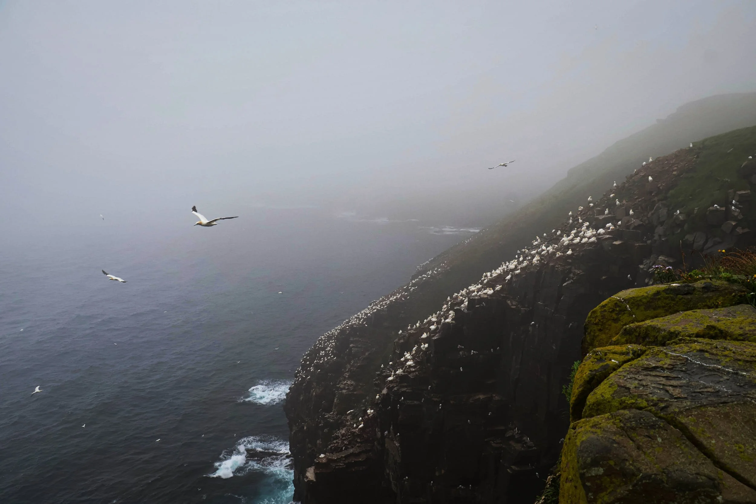 Cape St Mary Over the Edge.jpg