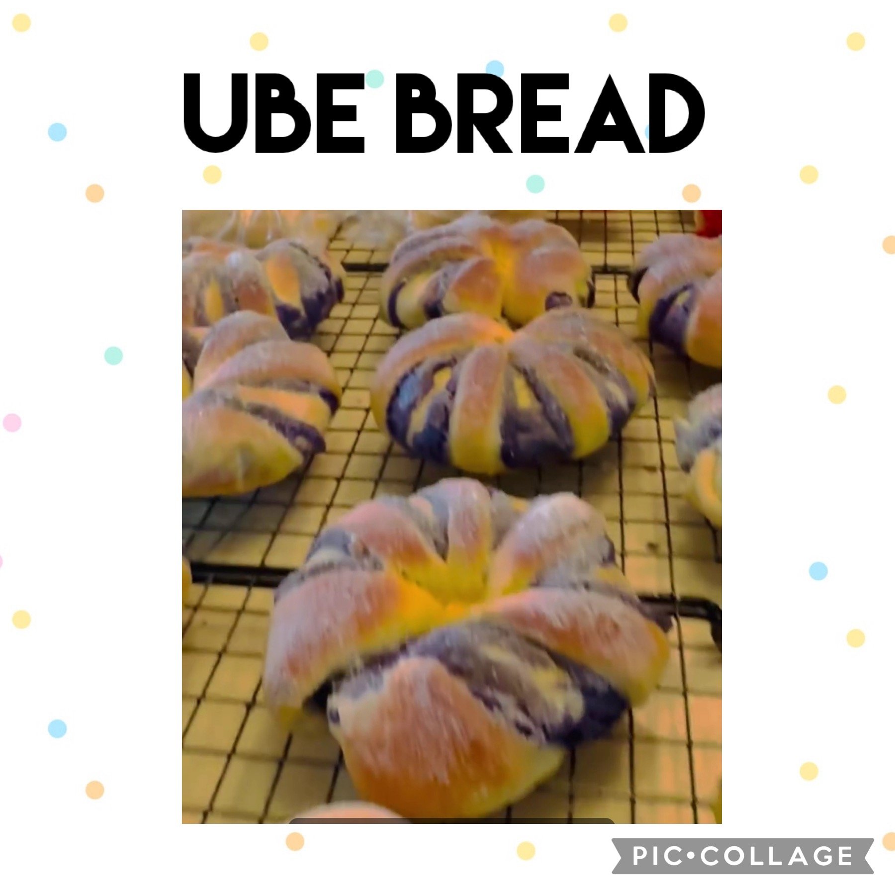 IMG_0149.jpeg