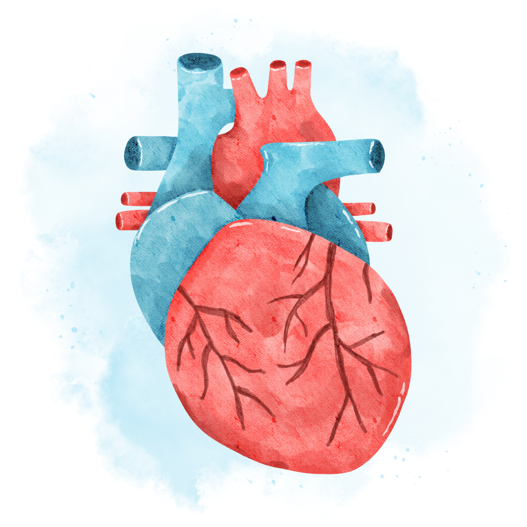 On Protecting Yo(ur) Heart
