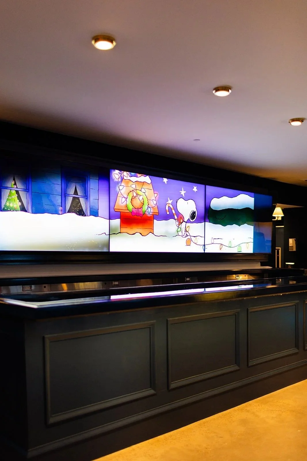Our bar offers colorful, animated images on a digital screen for the background of your event.  You supply the files and your images and messages will project on the screens. 