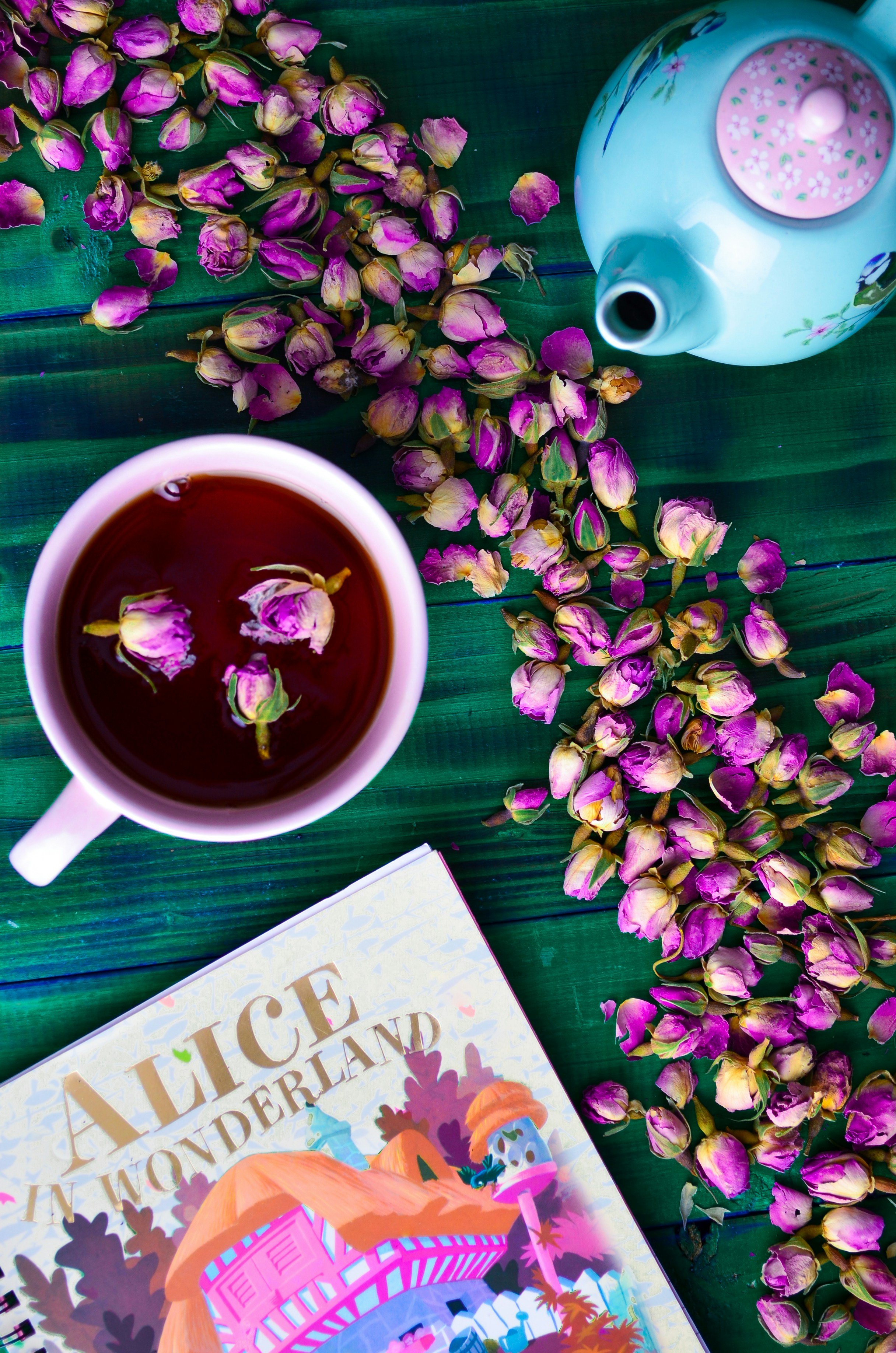 19 of the Best Alice in Wonderland Book Quotes — Julia's Bookcase