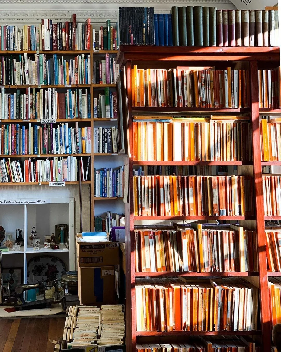 Some beautiful orange Penguin Classics inside The Book Shop