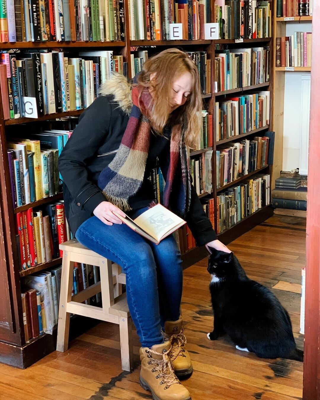 I got to meet Captain, resident of The Book Shop!