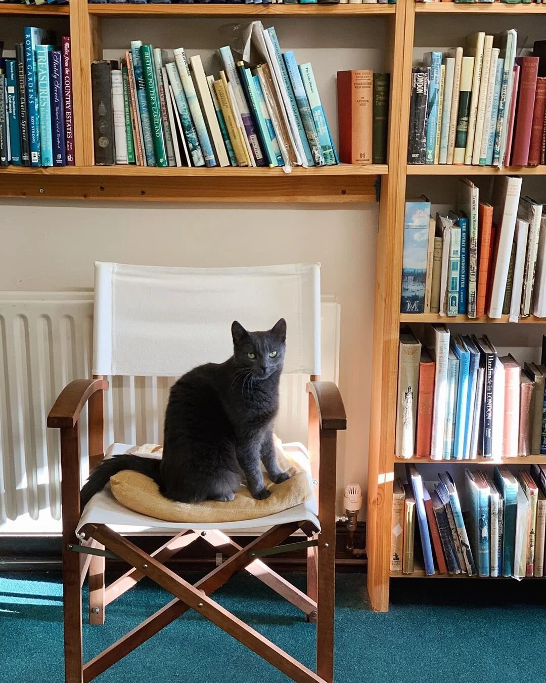 The gorgeous Sula from The Old Bank Bookshop