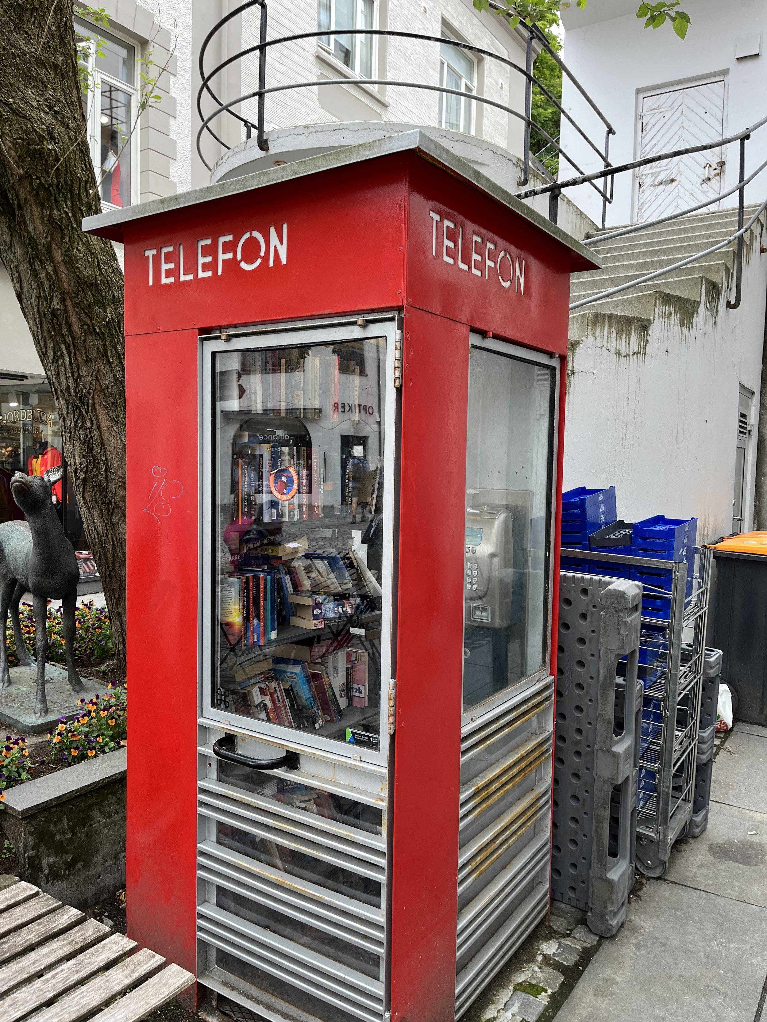 2023-07-04 13.01.04.JPG