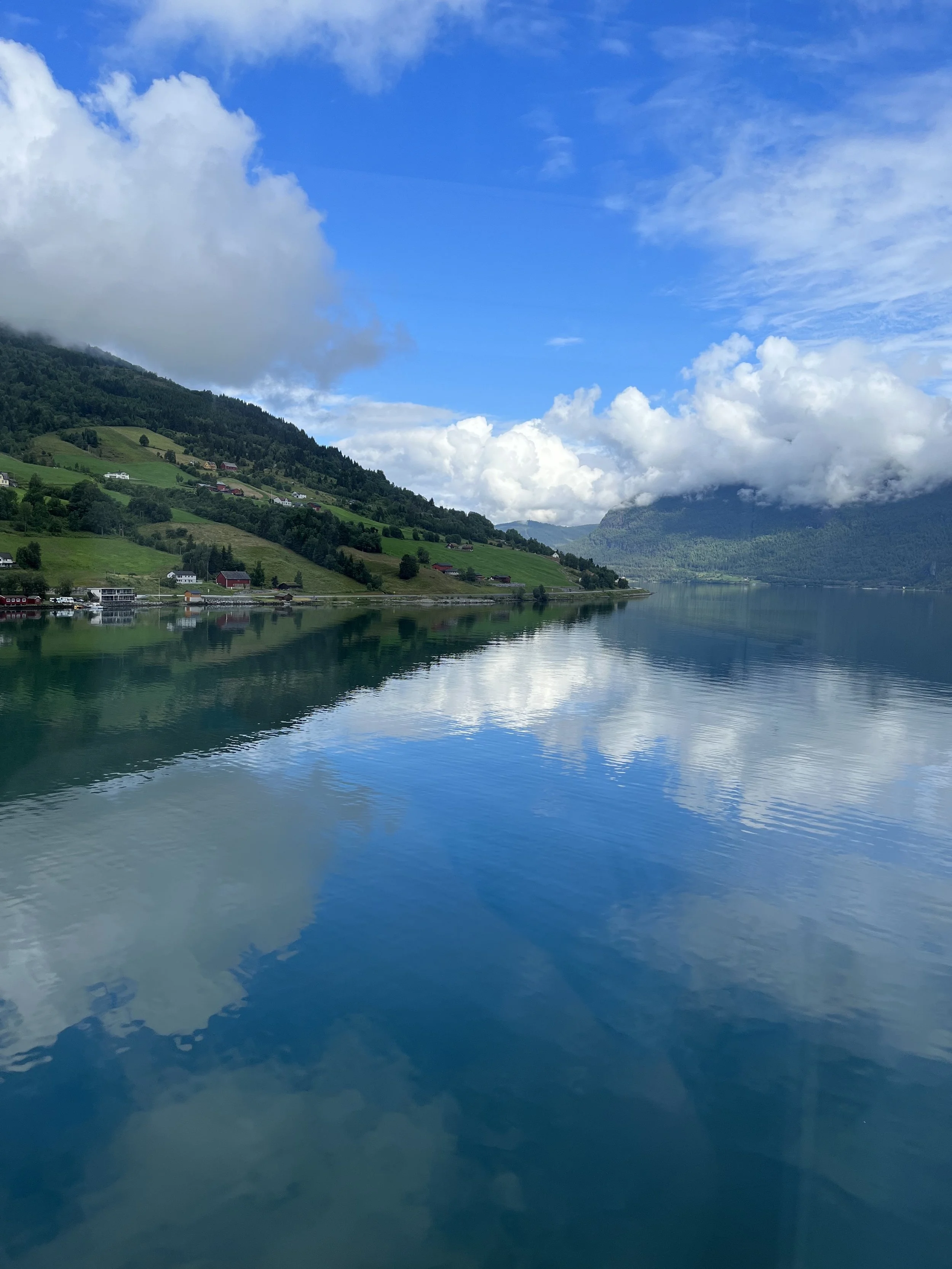image_6209779 (1).JPG