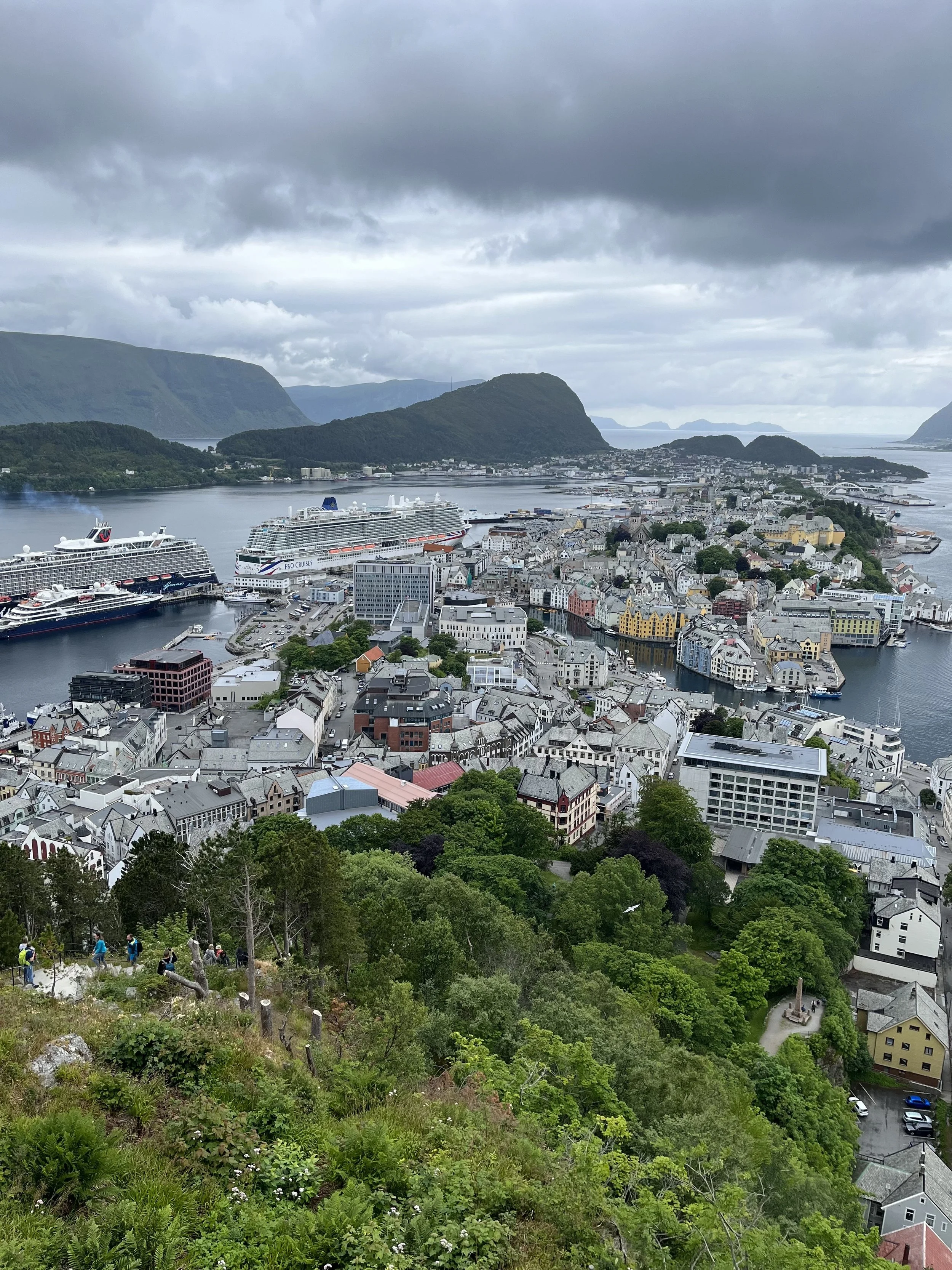 image_123650291 (6).JPG