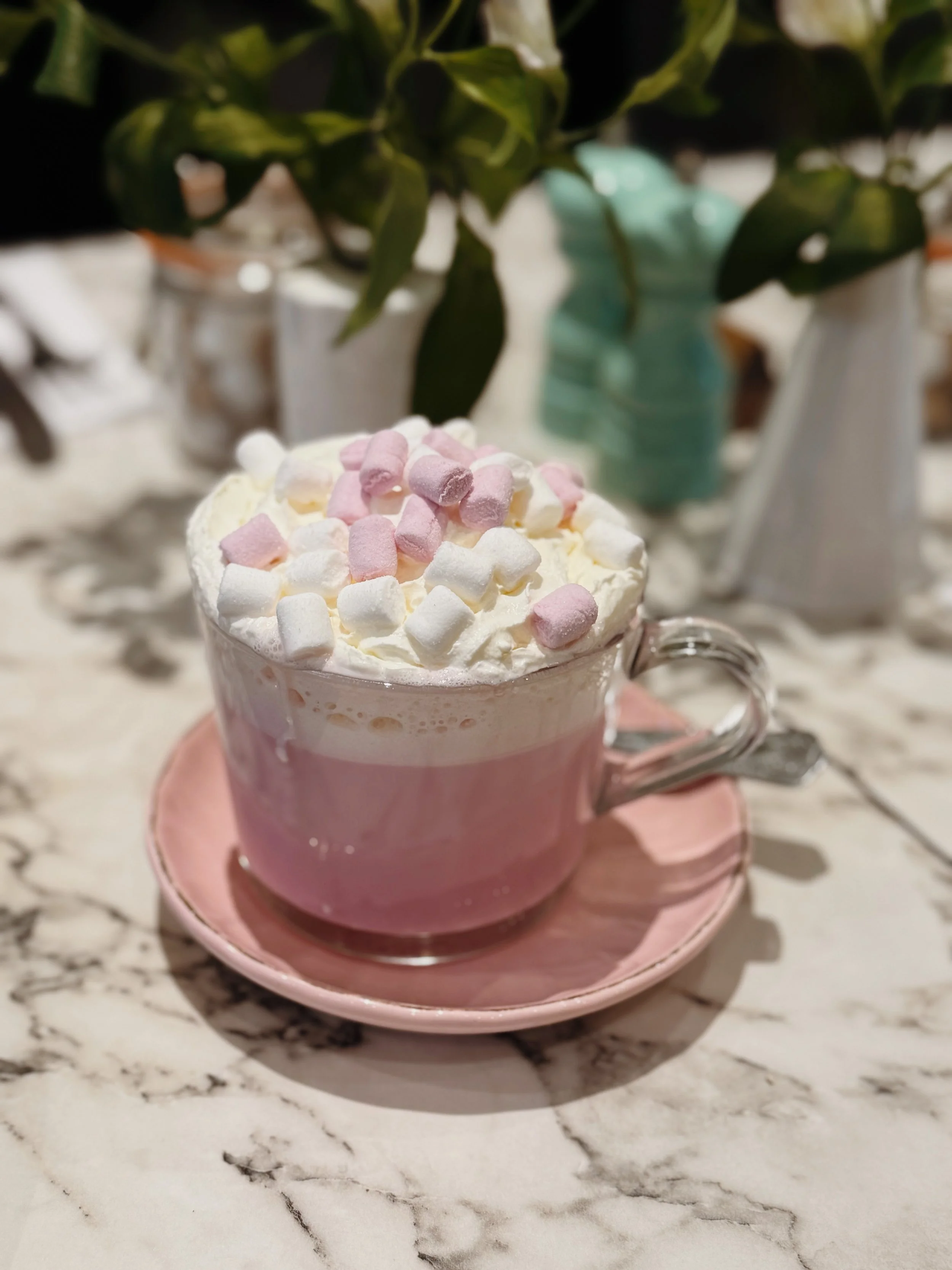 FullSizeRender_VSCO 4.JPG