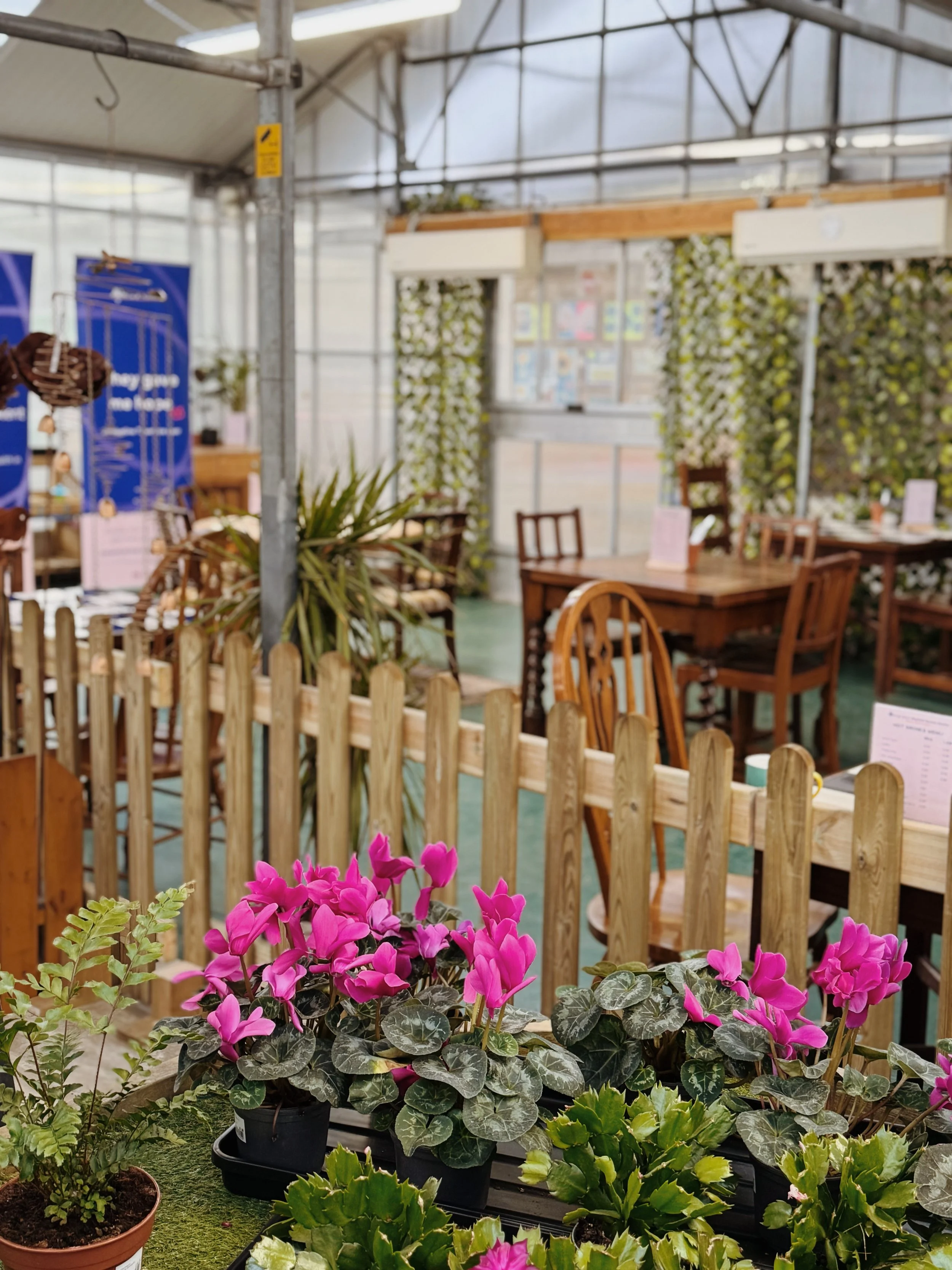 FullSizeRender_VSCO 11.JPG