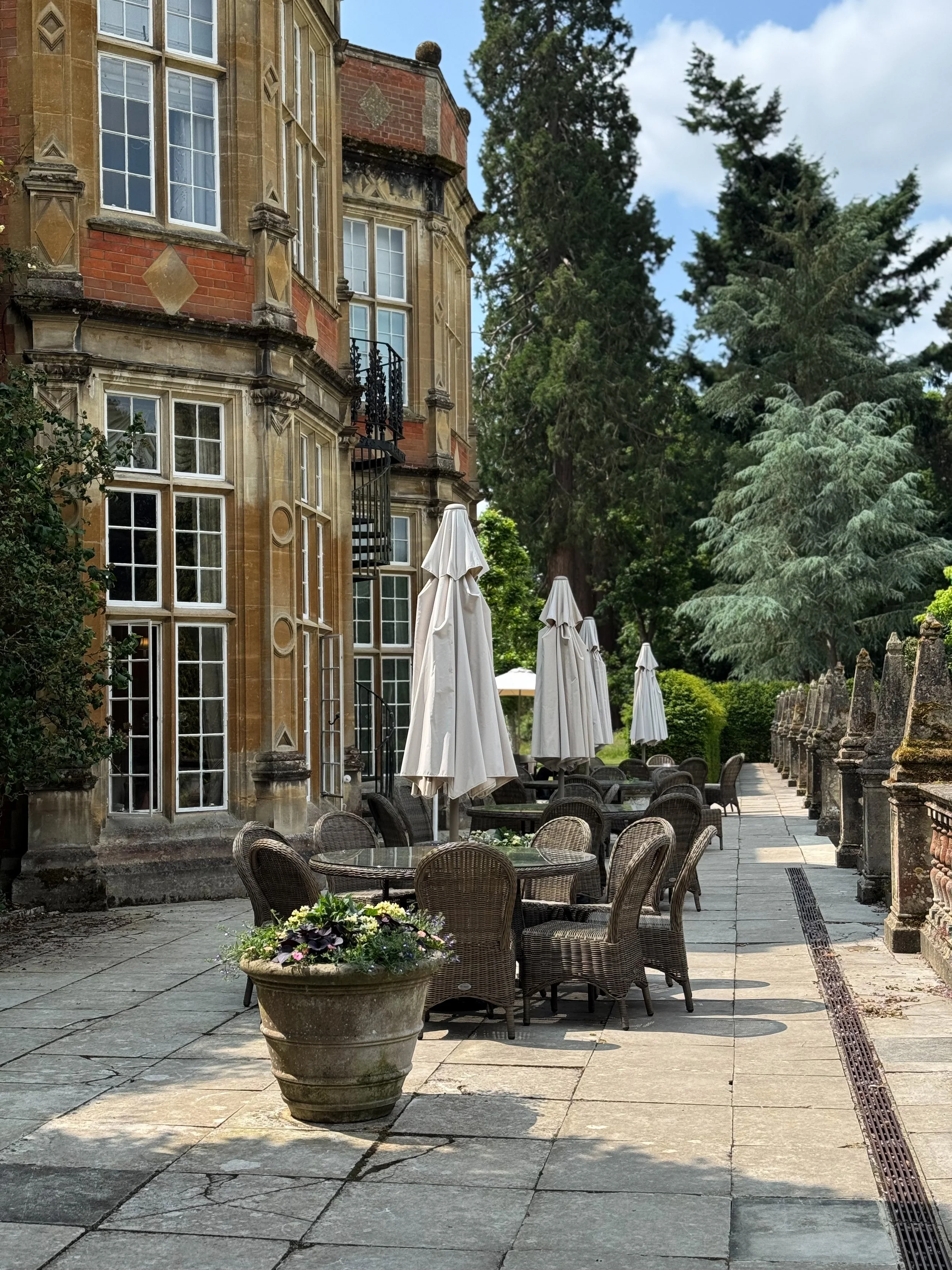 IMG_5681_jpg.JPG