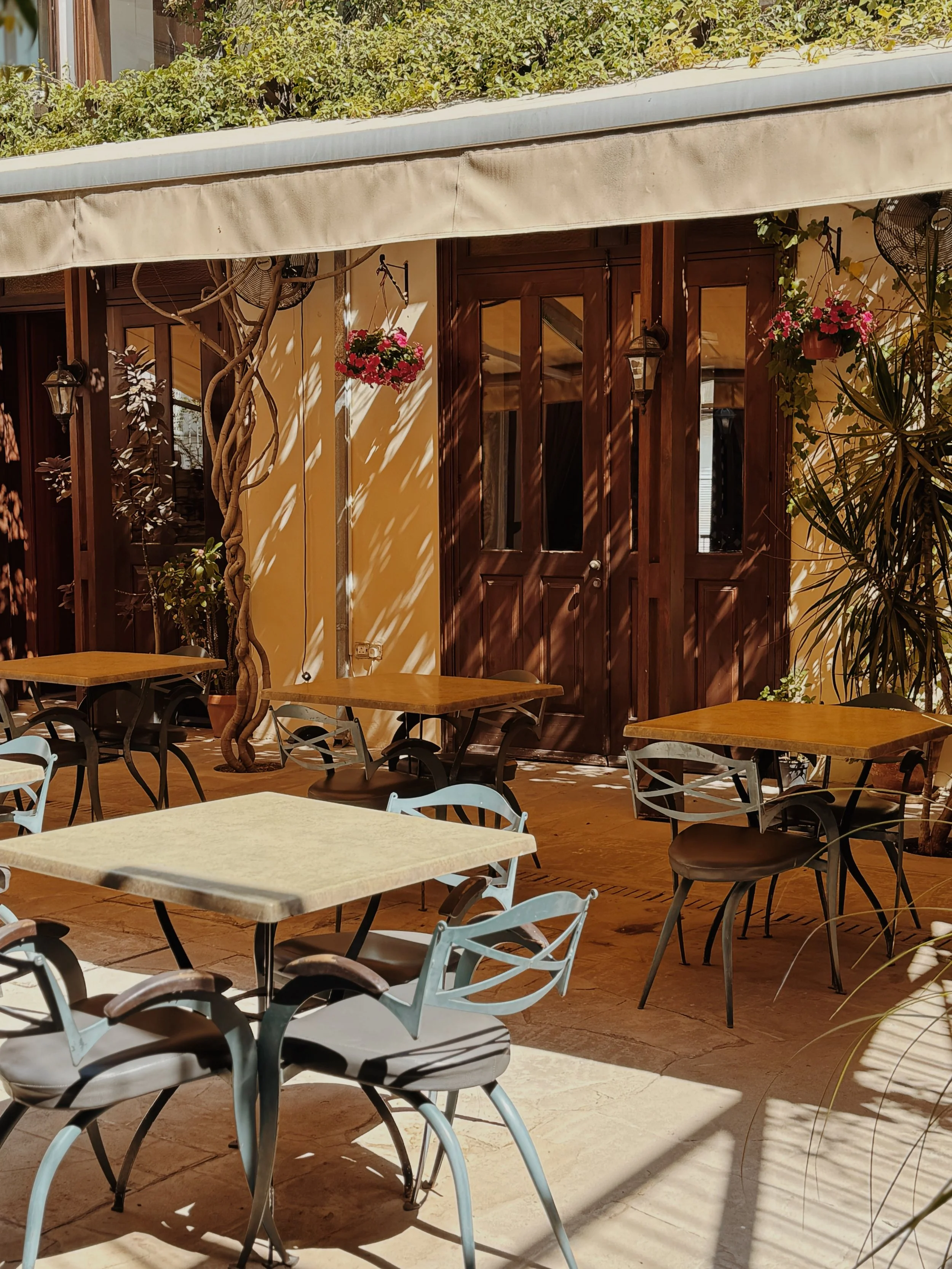 FullSizeRender_VSCO 61.JPG