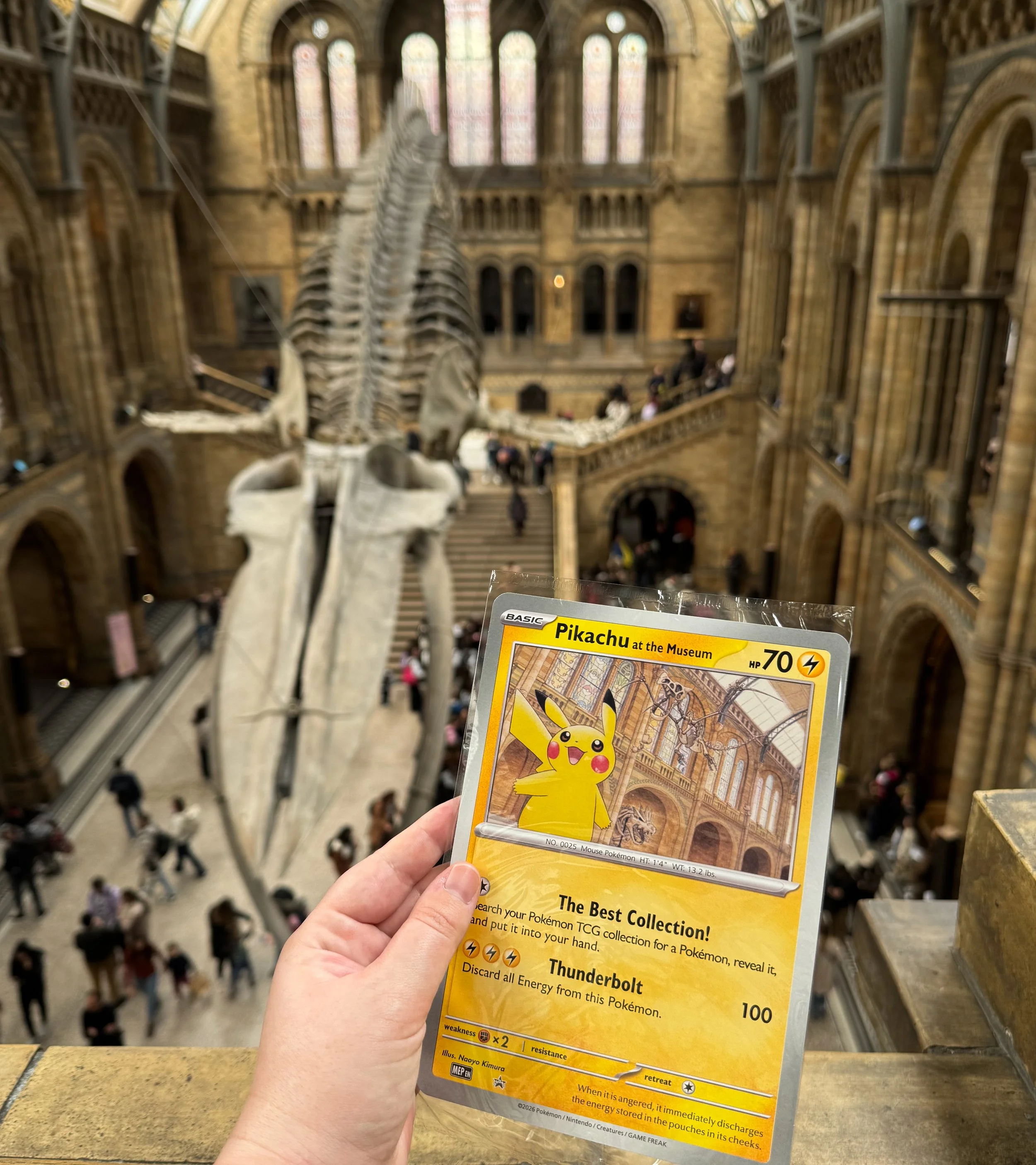 Pokémon x Natural History Museum London Review