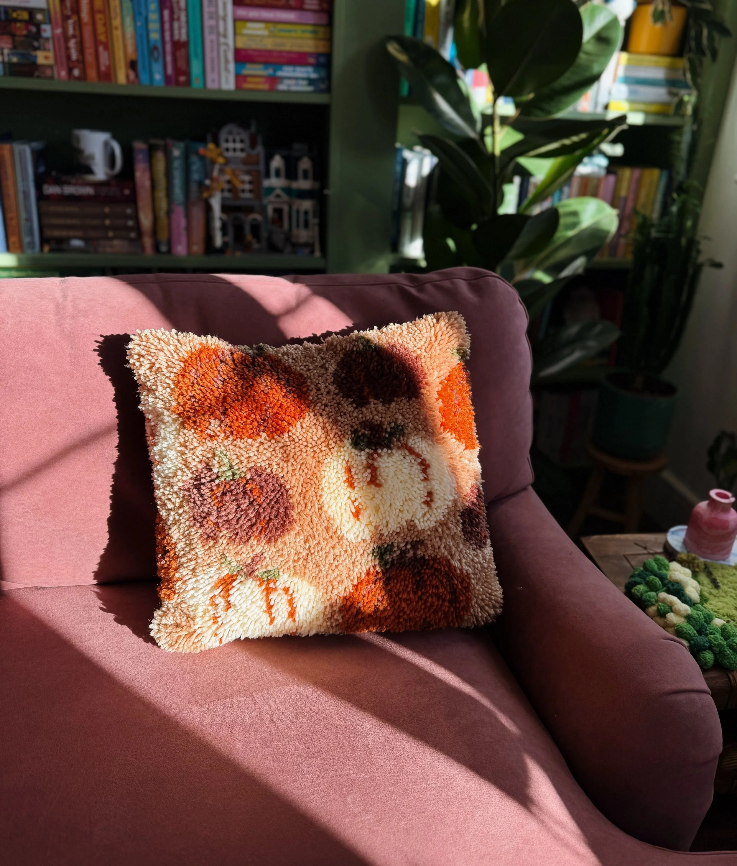 Latch Hook Cushion Kit Review