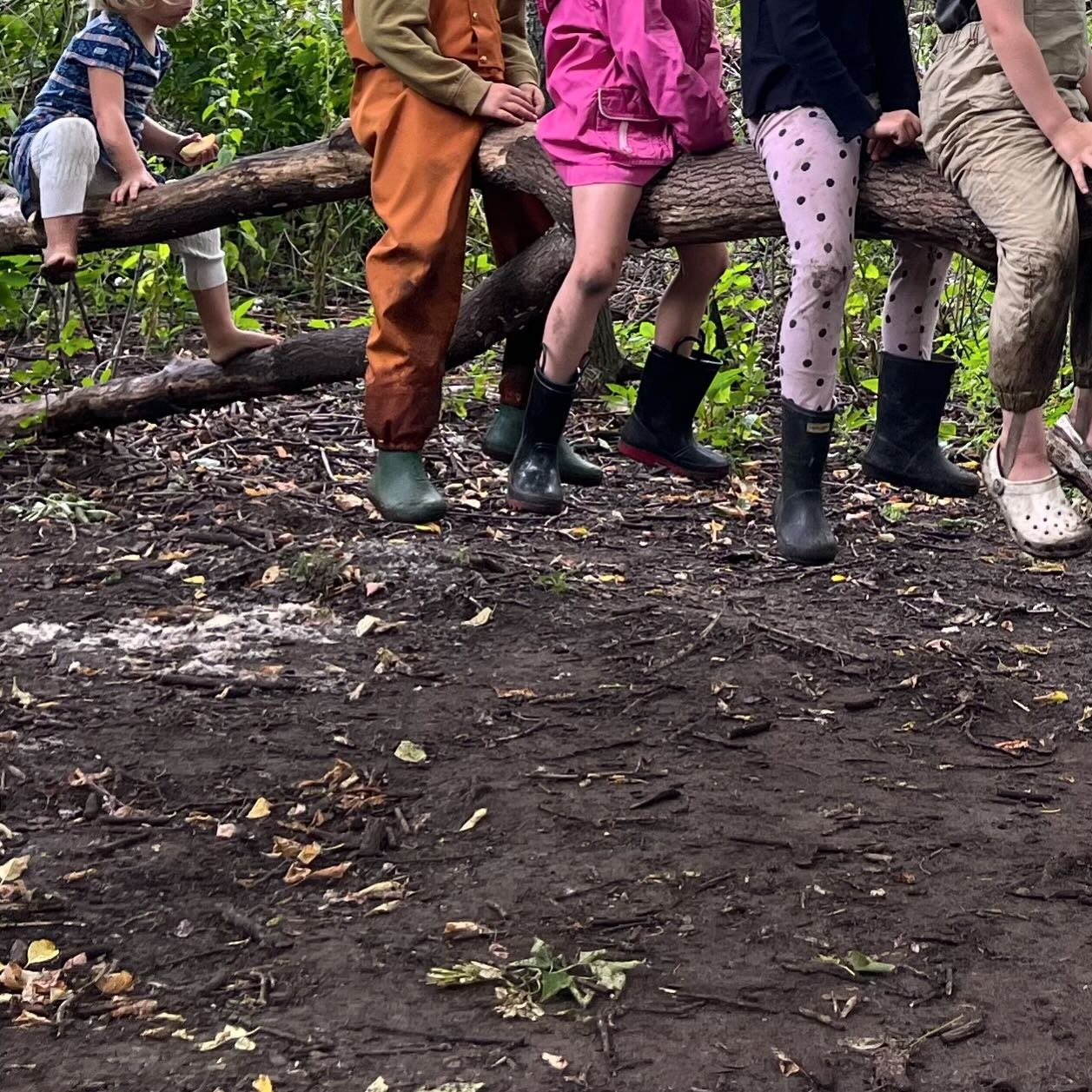 It&rsquo;s official, TUESDAYS are no longer just for Tacos&hellip;The Hive Homeschool Community will be meeting the 1st and 3rd Tuesdays of the month at Mill City Church (NE Mpls) and the 2nd and 4th Tuesdays at Springbrook Nature Center (Fridley). L