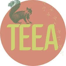 TEEA Conference
