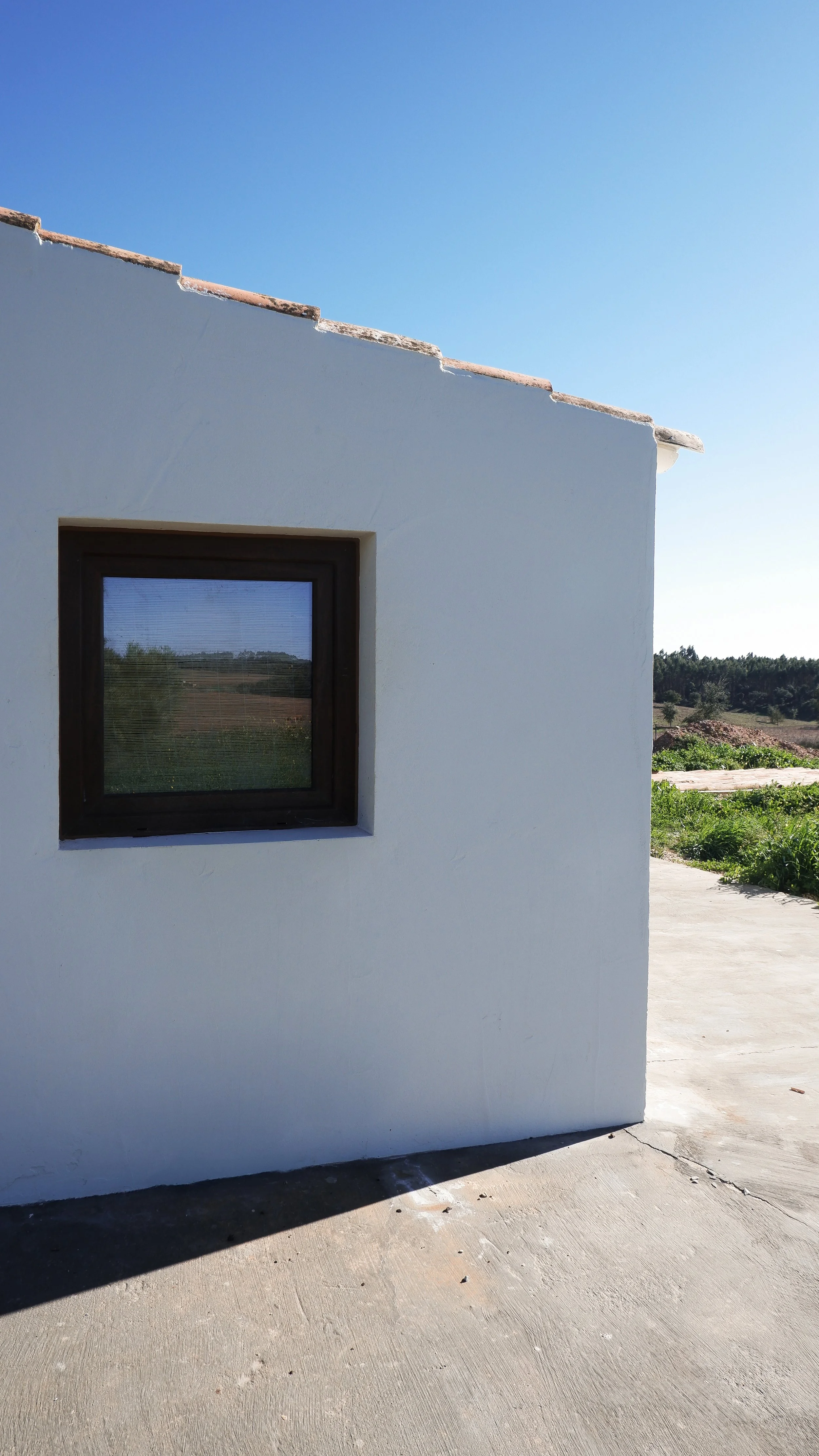 DSCF7660-2.jpg