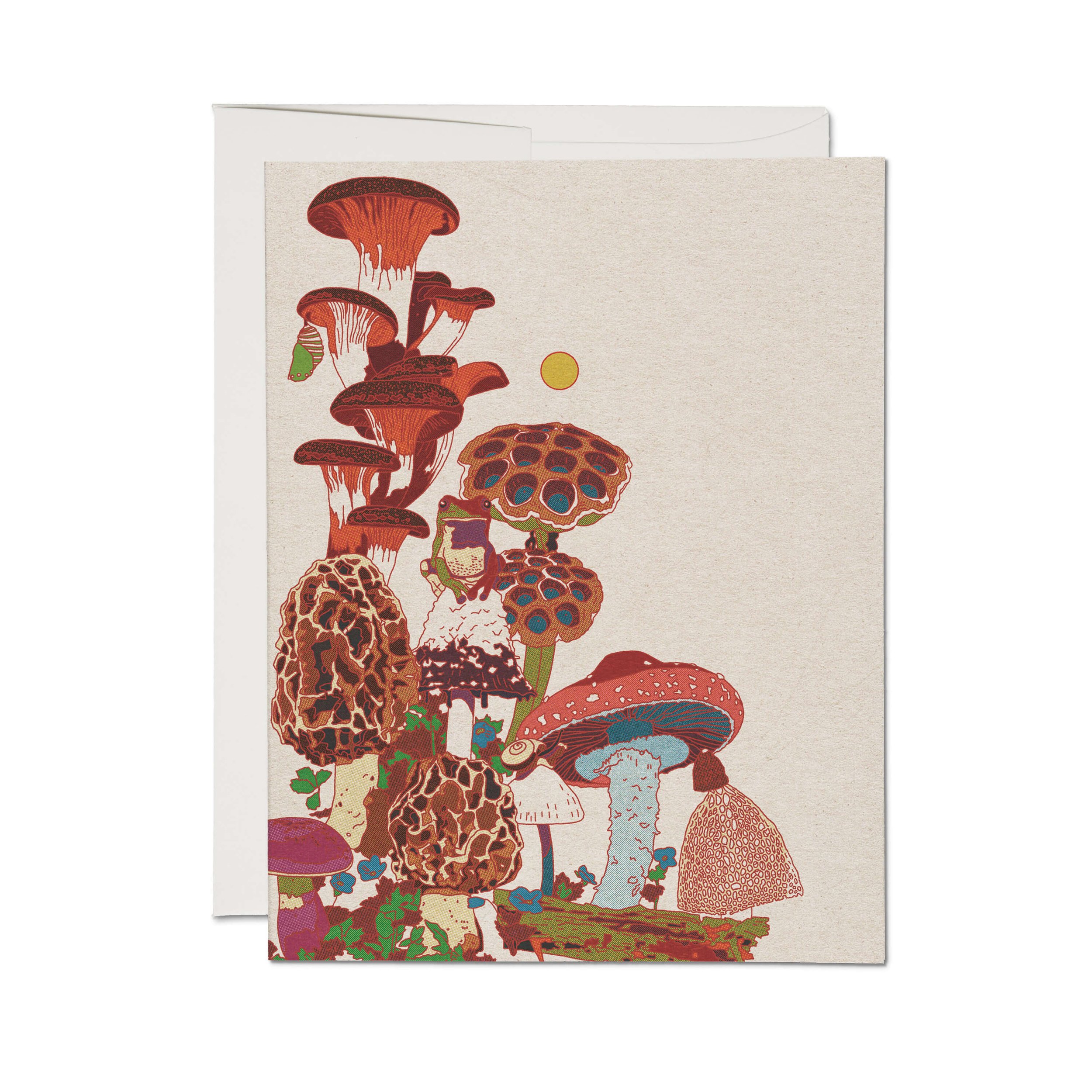 Frog_and_Fungi_Greeting_Card.jpg
