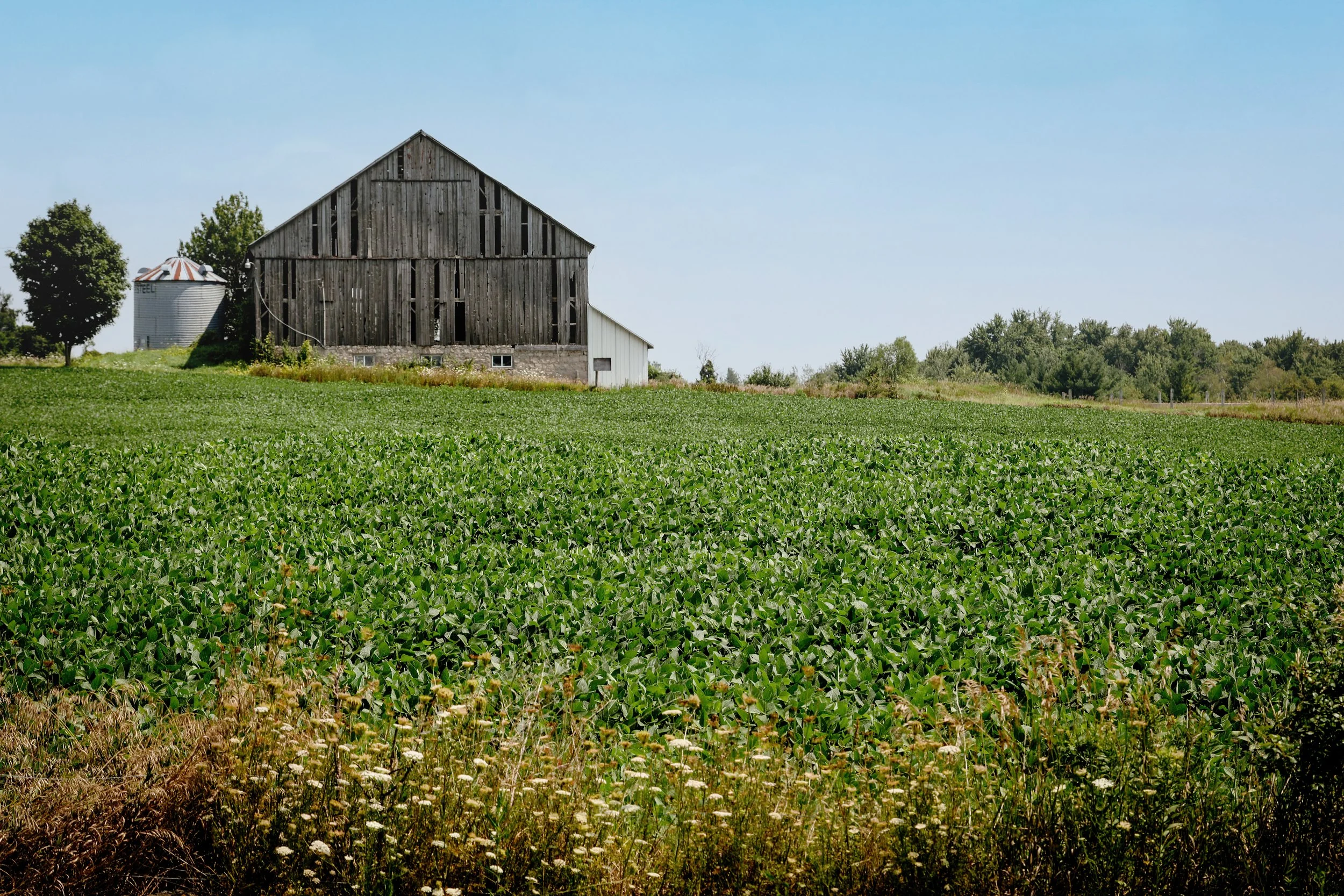 KrissyThompsonPhotography-Countryside-1.jpg