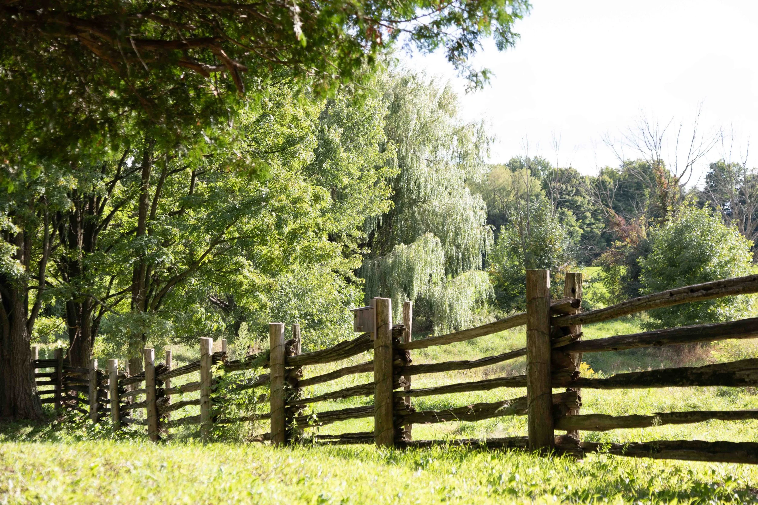Forestell Farm.jpg