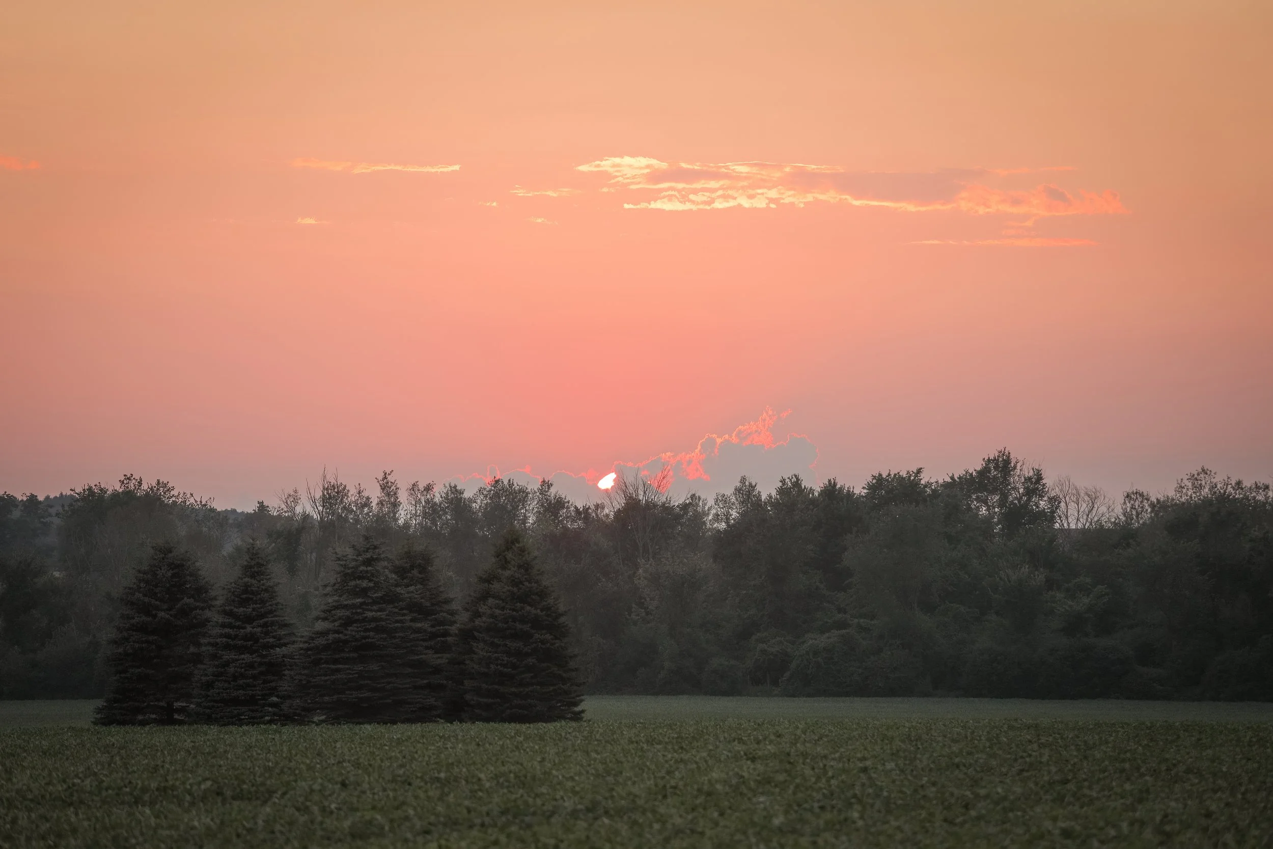 KrissyThompsonPhotography-Countryside-3.jpg