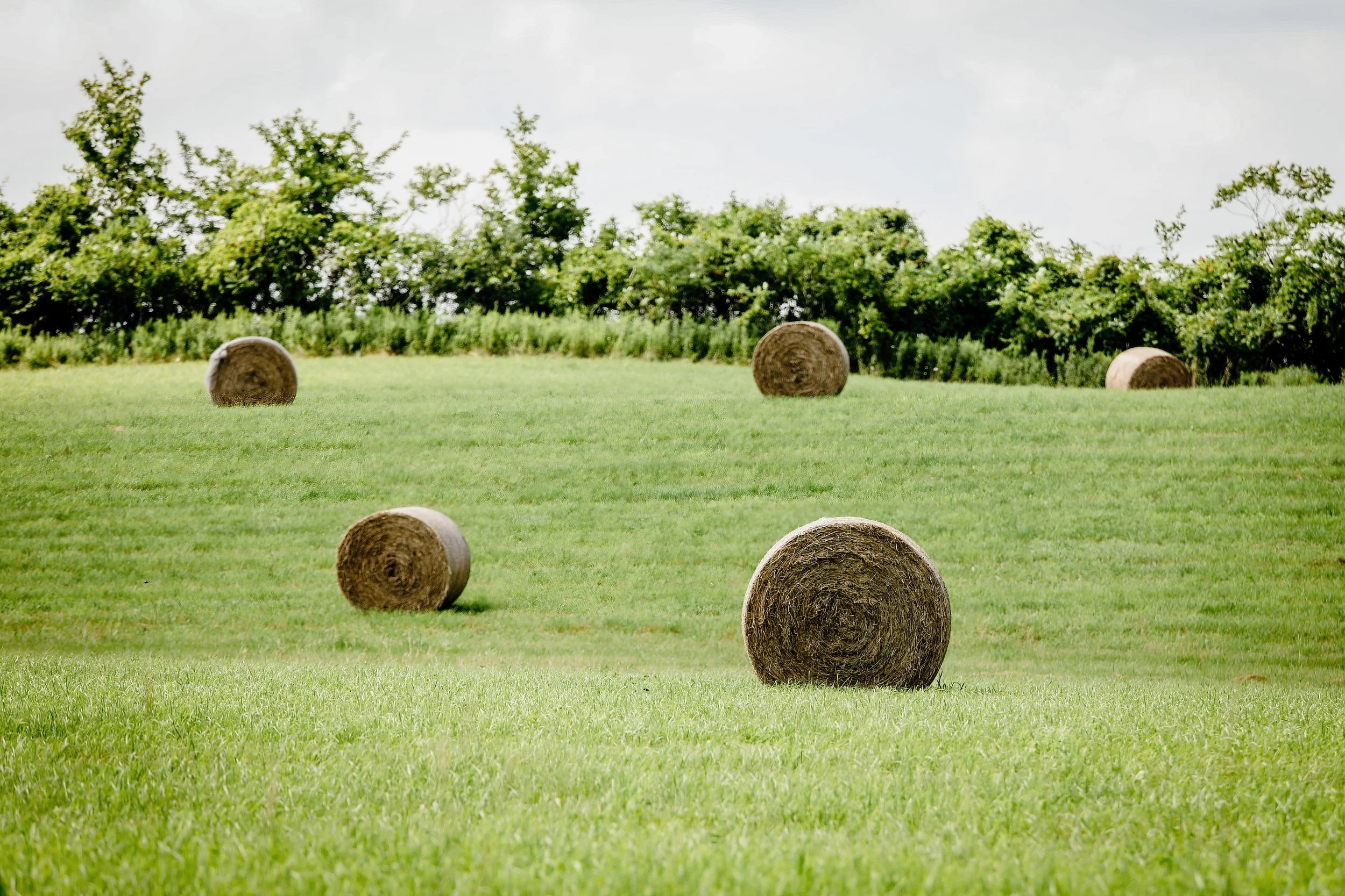 KrissyThompsonPhotography-Hayfields-1.jpg